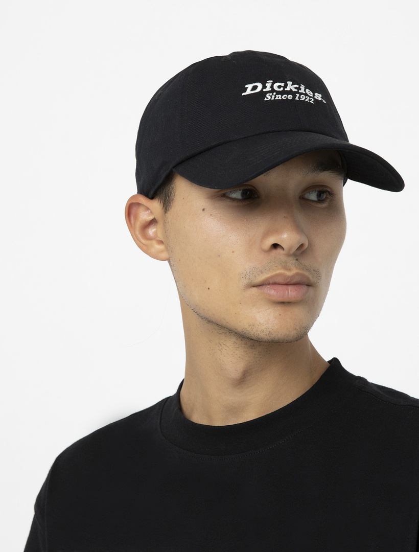 Dickies Baseball Cap »Dickies Workwear Mützen TWILL DAD HAT«