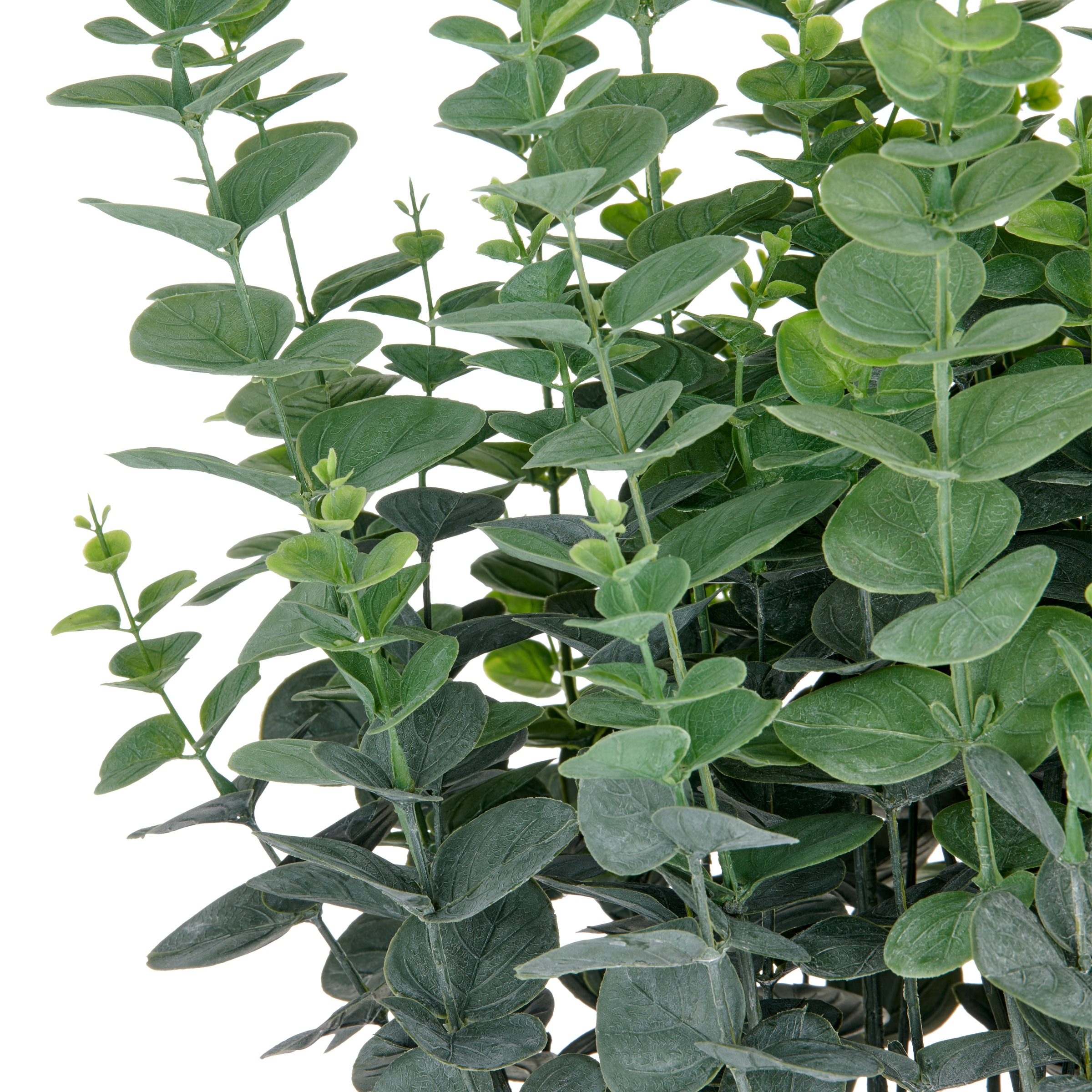 Creativ green Kunstpflanze »Eukalyptus gunnii« in UV-beständiger Ausführung günstig online kaufen