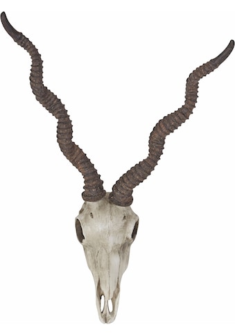 Dekogeweih »Antilopenkopf«