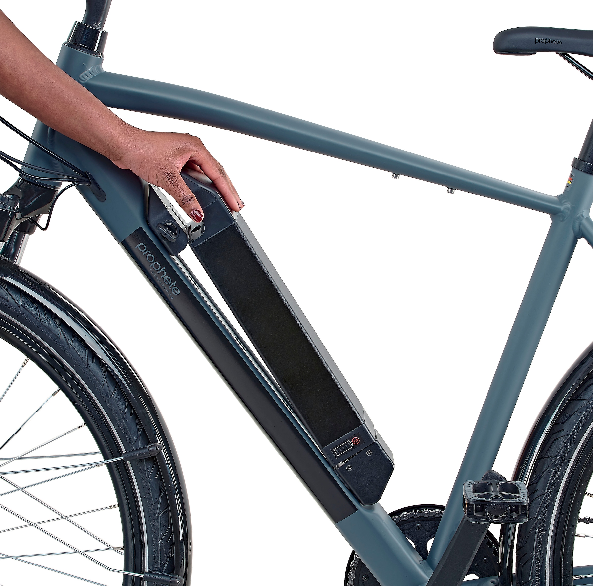 Prophete E-Bike »Prophete E-Bike Entdecker 1.8«, 8 Gang, Shimano, Altus, Heckmotor 250 W, Pedelec