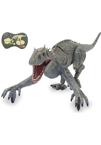 RC-Tier »Dinosaurier Exoraptor, Li-Ion 3,7V, 2,4GHz, grau«