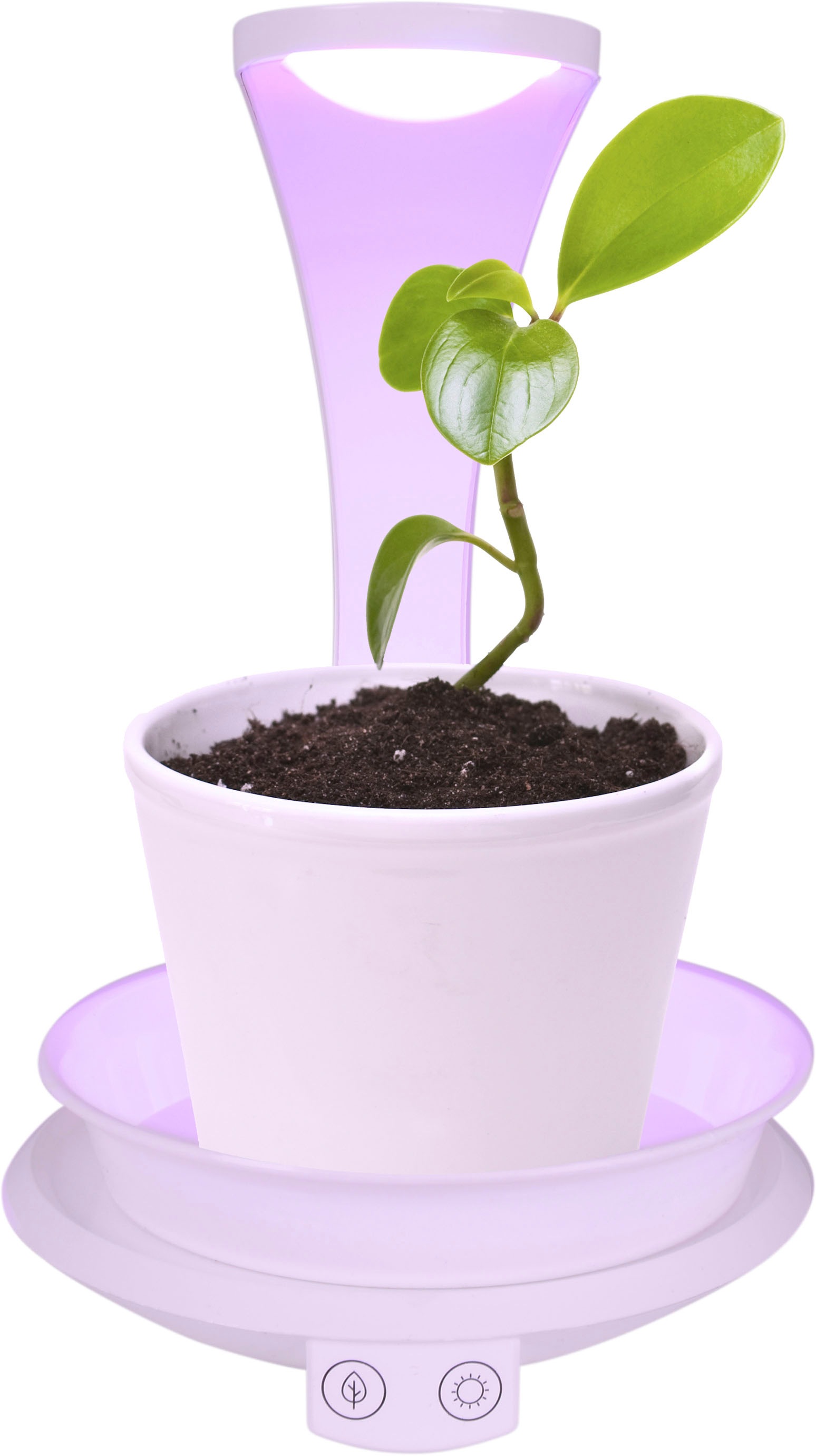 näve LED Tischleuchte »Grow Light«, 1 flammig, Wachstumsleuchte, Pflanzenlicht (lila) und Neutralweiß, USB-Kabel