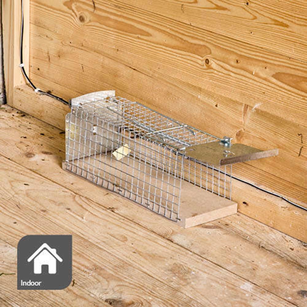 Windhager Mäusegitter »Drahtkasten Mause- und Rattenfalle« tierfreundliche Lebendfalle erhältlich in unterschiedlichen Größen