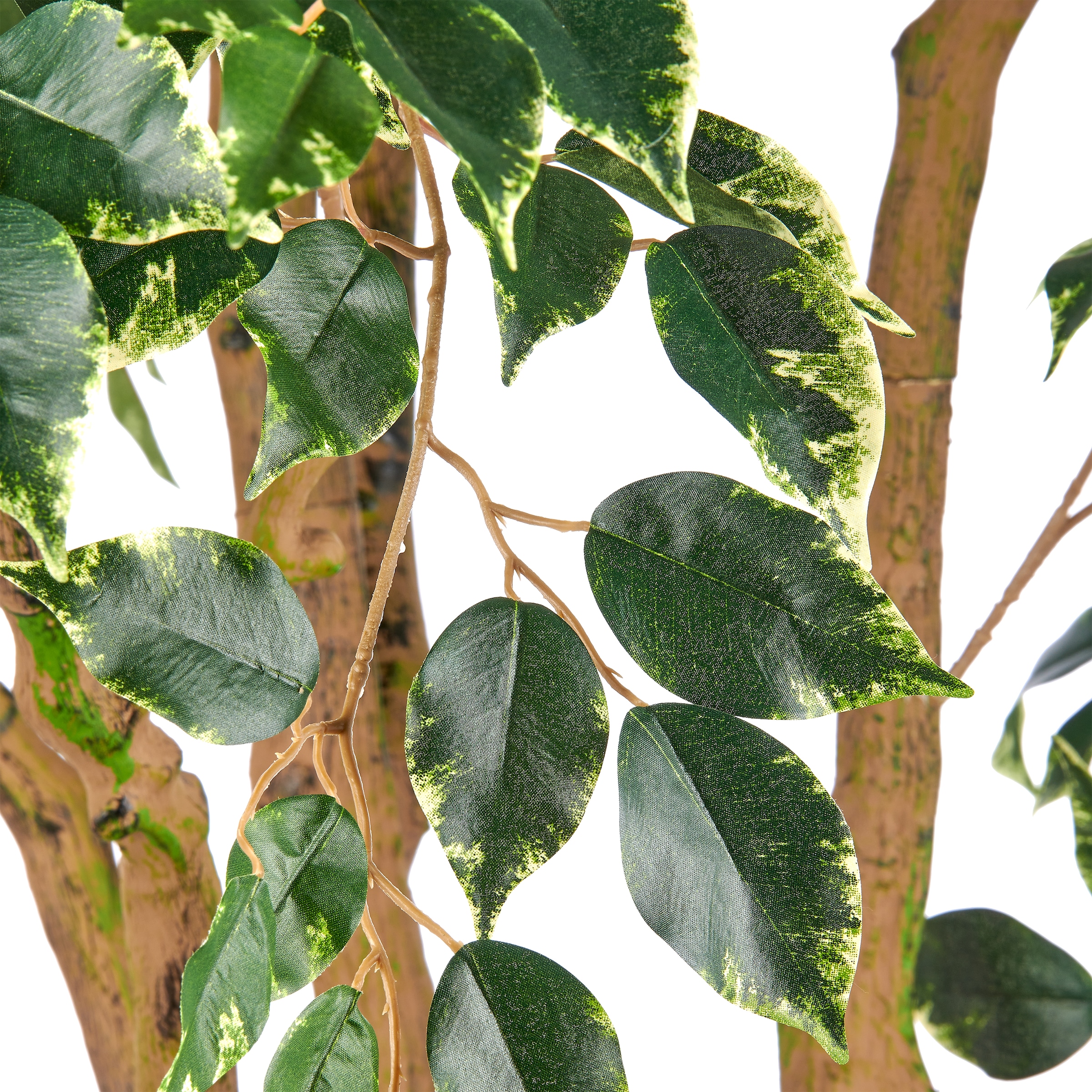 Creativ green Kunstbaum »Ficus benjamina« in beeindruckender Größe