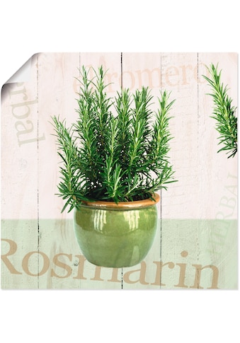 Artland Wandbild »Rosmarin«, Pflanzen, (1 St.), als Alubild, Leinwandbild,... kaufen