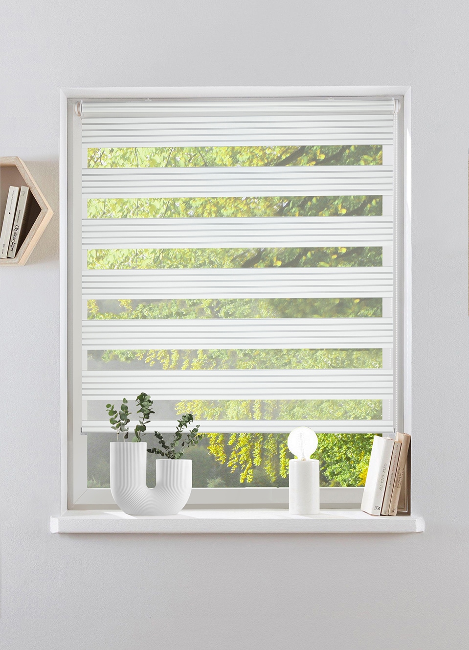 my home Doppelrollo »TIMELI«, Lichtschutz, Sichtschutz, ohne Bohren, freihä günstig online kaufen