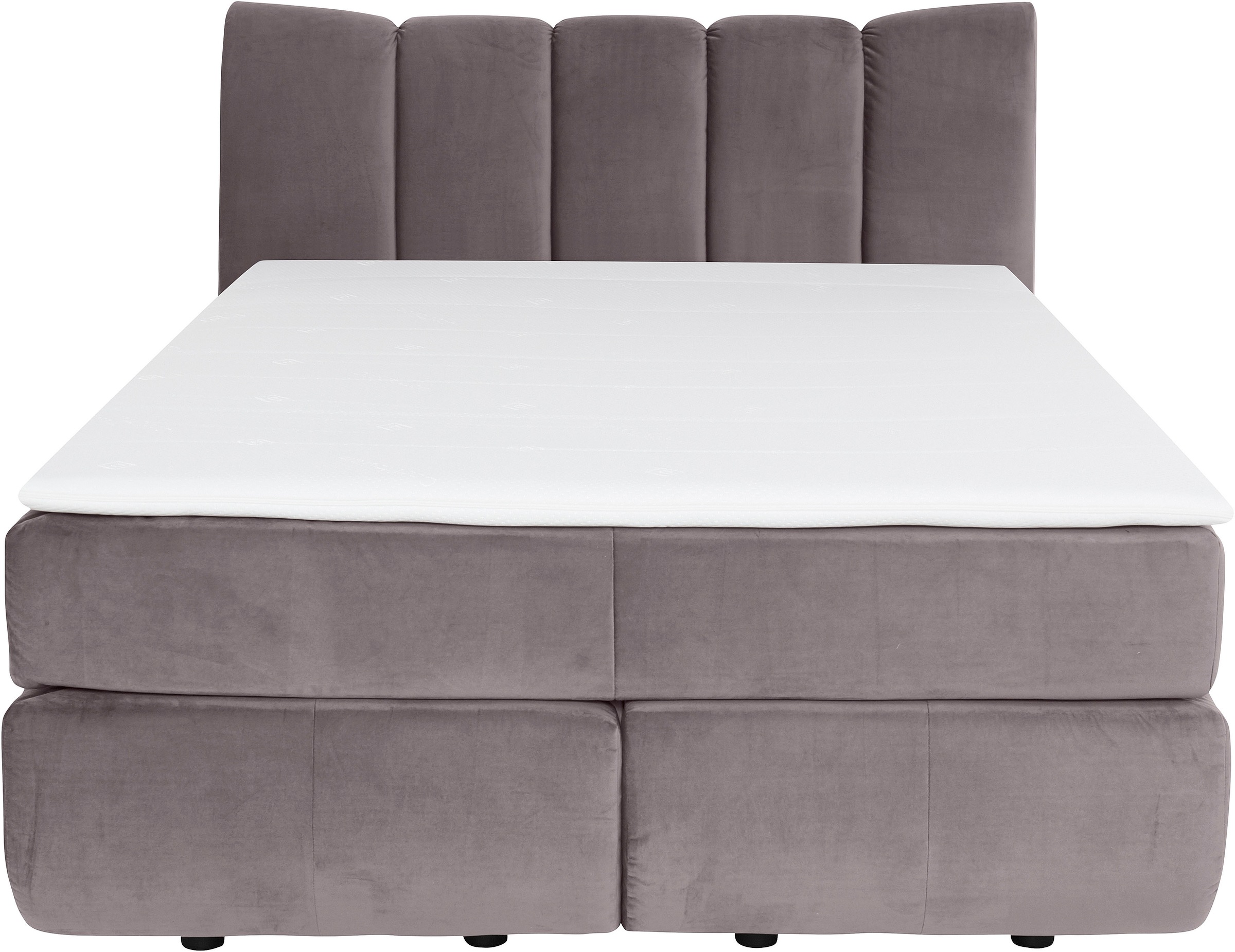 Home affaire Boxspringbett »Océane« Bodenfrei- wirkt freischwebend, verschi günstig online kaufen