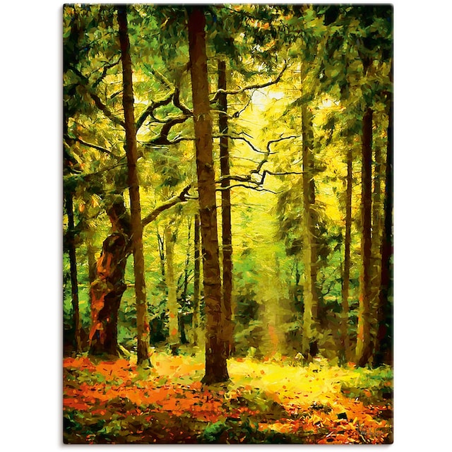 Artland Wandbild »Wald II«, Waldbilder, (1 St.), als Alubild, Leinwandbild,  Wandaufkleber oder Poster in versch. Größen online bestellen
