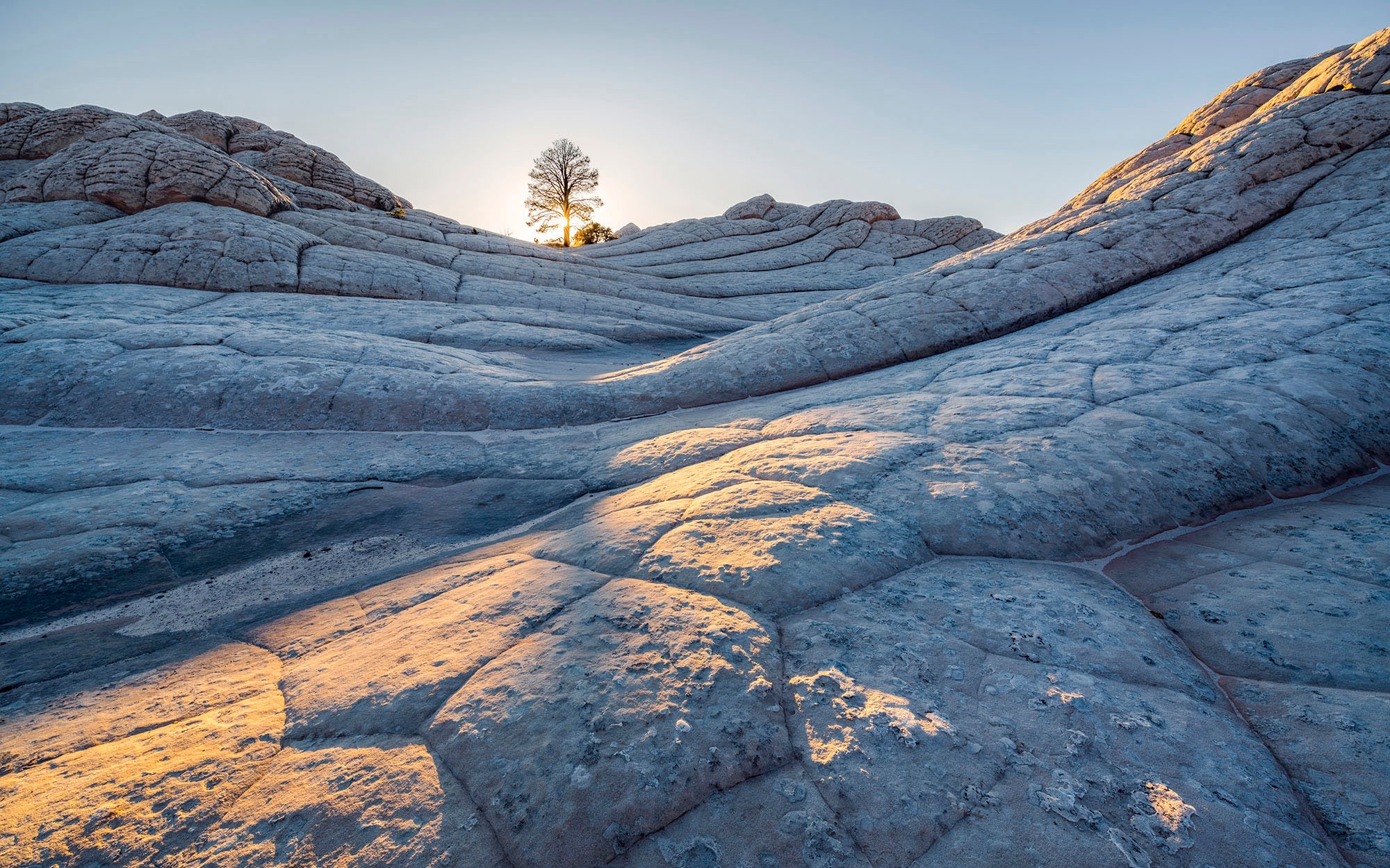 Komar Fototapete »Digitaldruck Vlies - Elephant Skin - Größe 400 x 250 cm« günstig online kaufen
