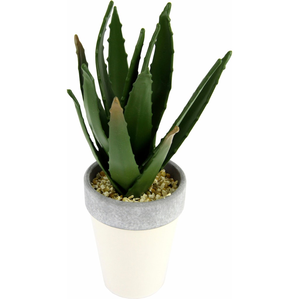 I.GE.A. Kunstpflanze »Agave in Topf 27/12 cm«, (1 St.)