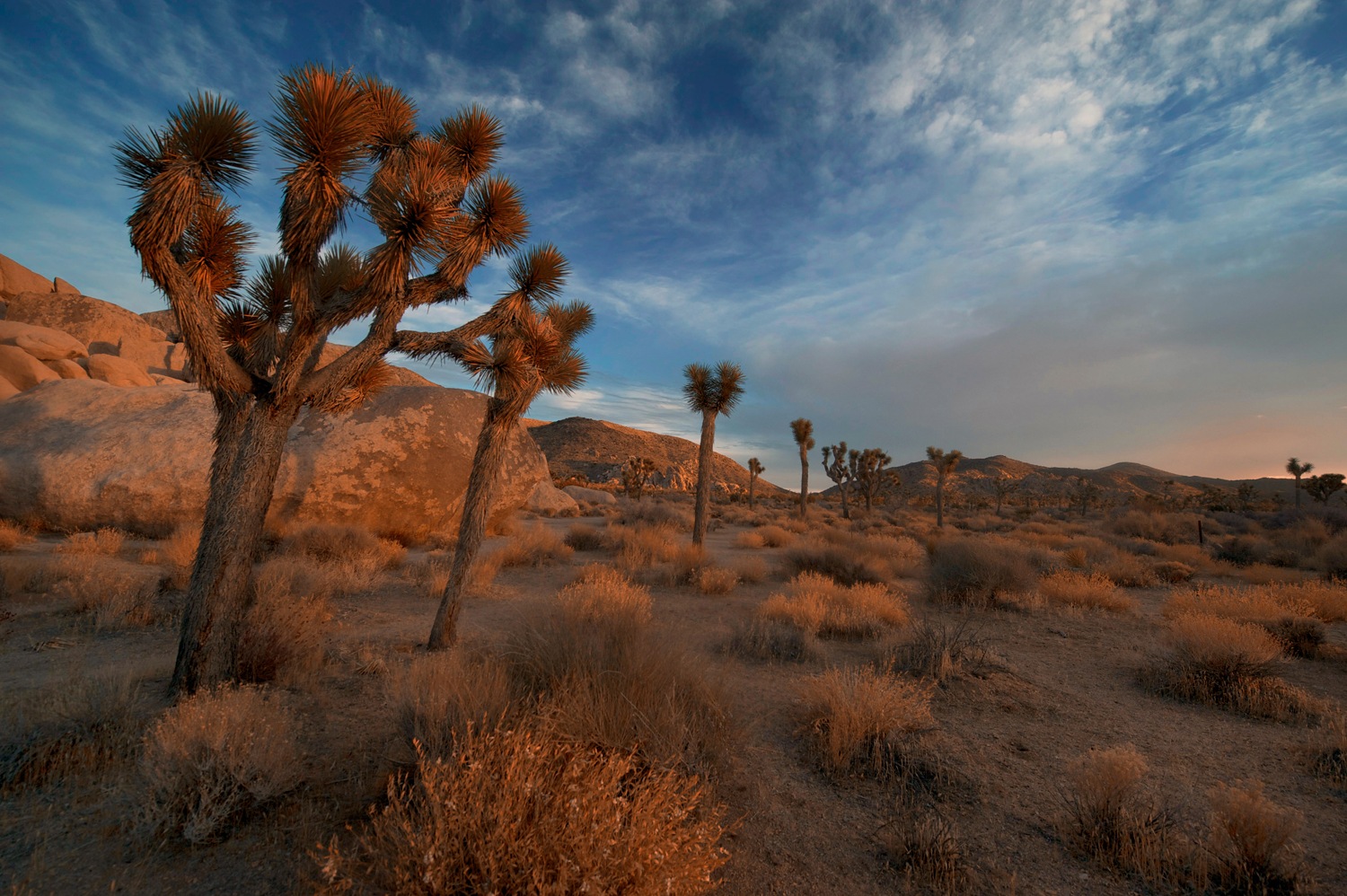 queence XXL-Wandbild »Akustikbild Landschaft Wüste« Amerika   Bilder von Am günstig online kaufen