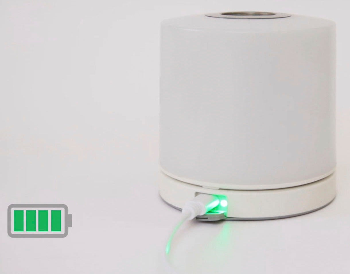 LUTEC Smarte LED-Leuchte »NOMA«, bestellen flammig-flammig, Tischleuchte Smart-Home online 1