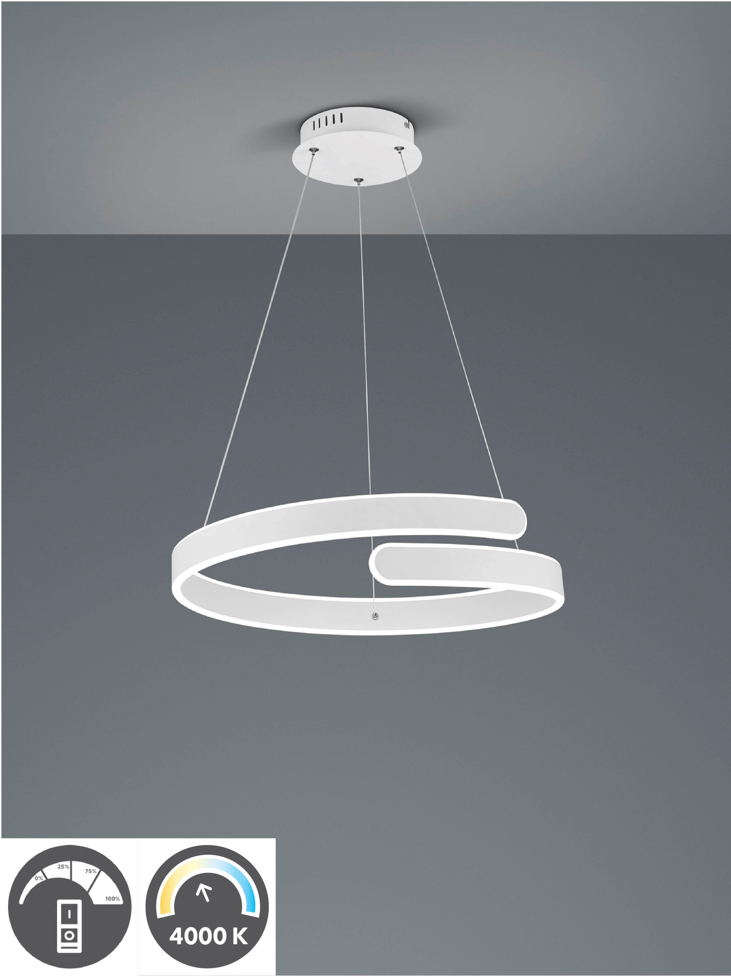 REALITY Leuchten LED Pendelleuchte »Parma«, 1 flammig, Leuchtmittel LED-Boa günstig online kaufen