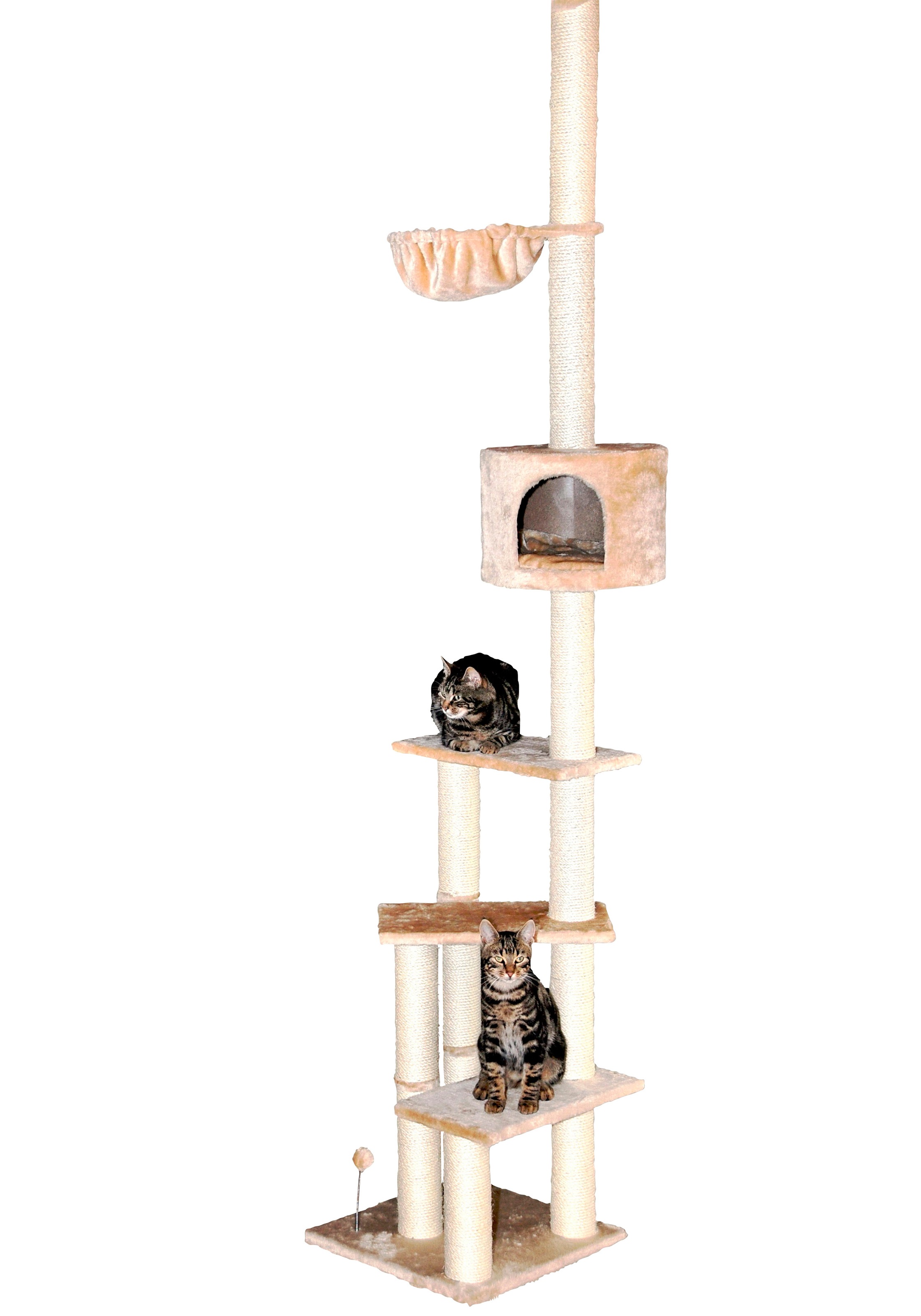 3. Bild von SILVIO design Kratzbaum »Kitty«, hoch, BxTxH: 45x45x230-260 cm