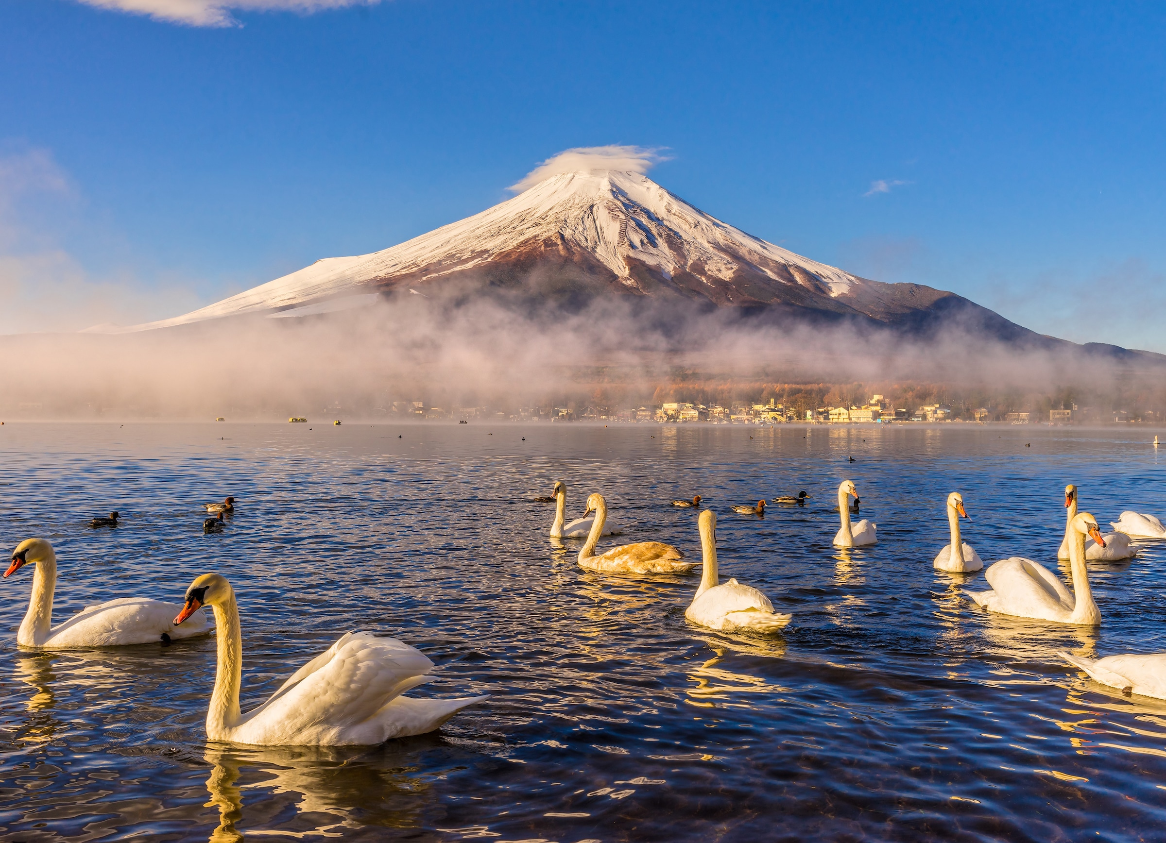 Papermoon Fototapete »Mount Fuji« glatt günstig online kaufen