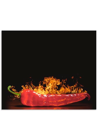 Artland Küchenrückwand »Roter scharfer Chilipfeffer«, (1 tlg.), selbstklebend in... kaufen