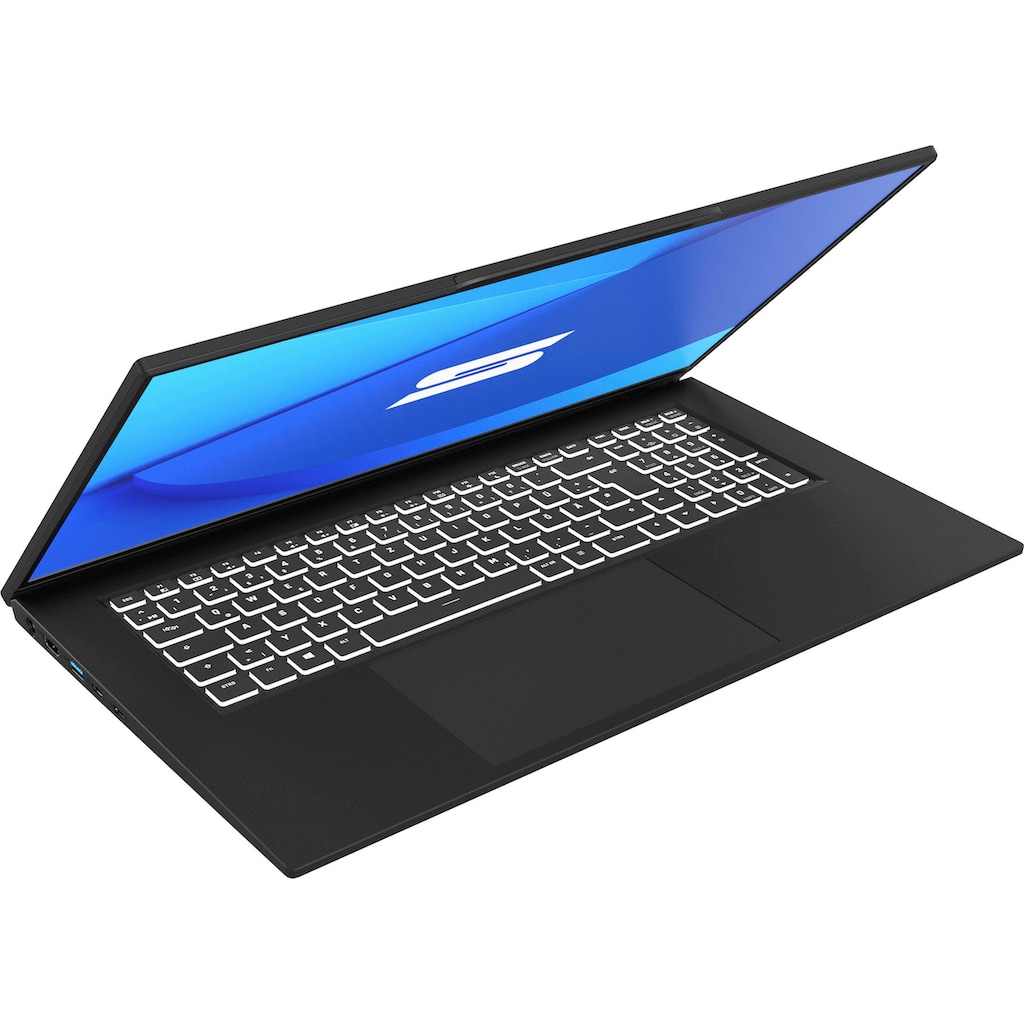 Schenker Notebook »WORK 17 - E21cfk«, 43,94 cm, / 17,3 Zoll, Intel, Core i7, Iris Xe Graphics, 500 GB SSD