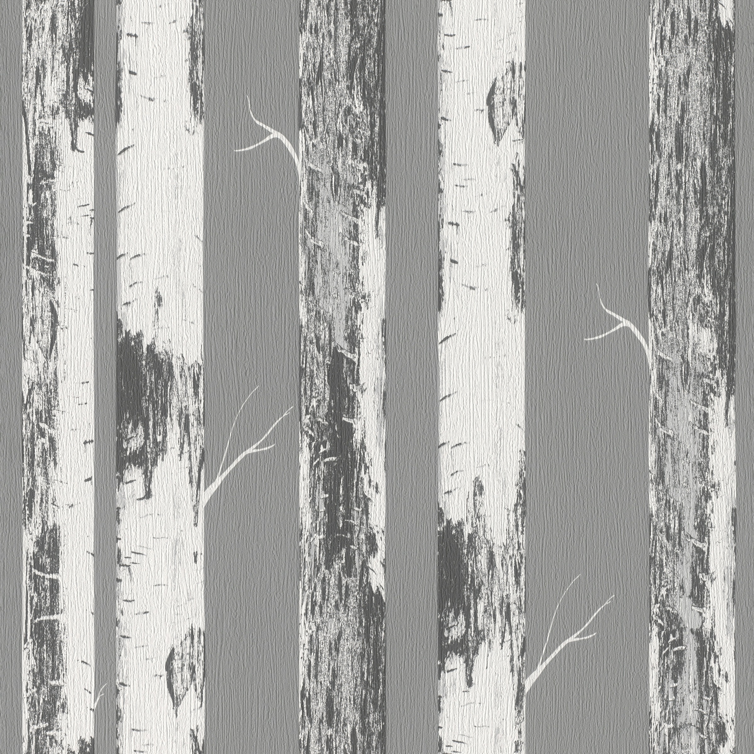 s.Oliver Papiertapete »mit Birkenstämmen«, Holz, Birkenwald