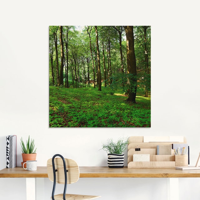Artland Glasbild »Panorama von einem grünen Sommerwald«, Wald, (1 St.), in  verschiedenen Größen auf Rechnung bestellen