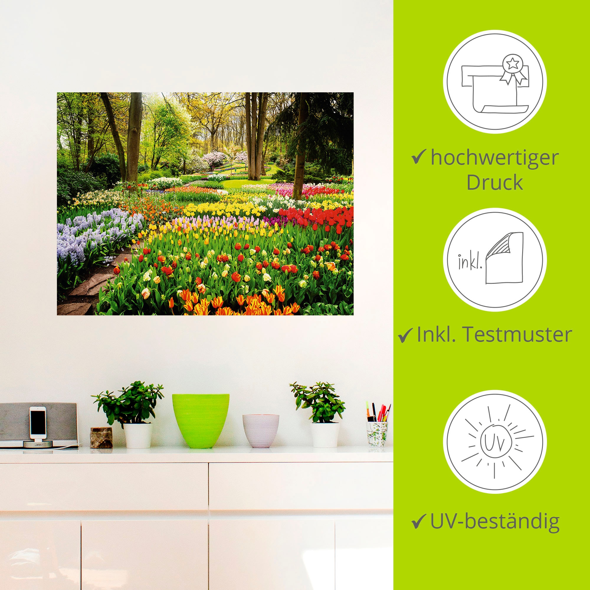 Artland Wandbild »Tulpen Garten Frühling«, Blumenwiese, (1 St.), als Alubild, Outdoorbild, Leinwandbild, Poster, Wandaufkleber