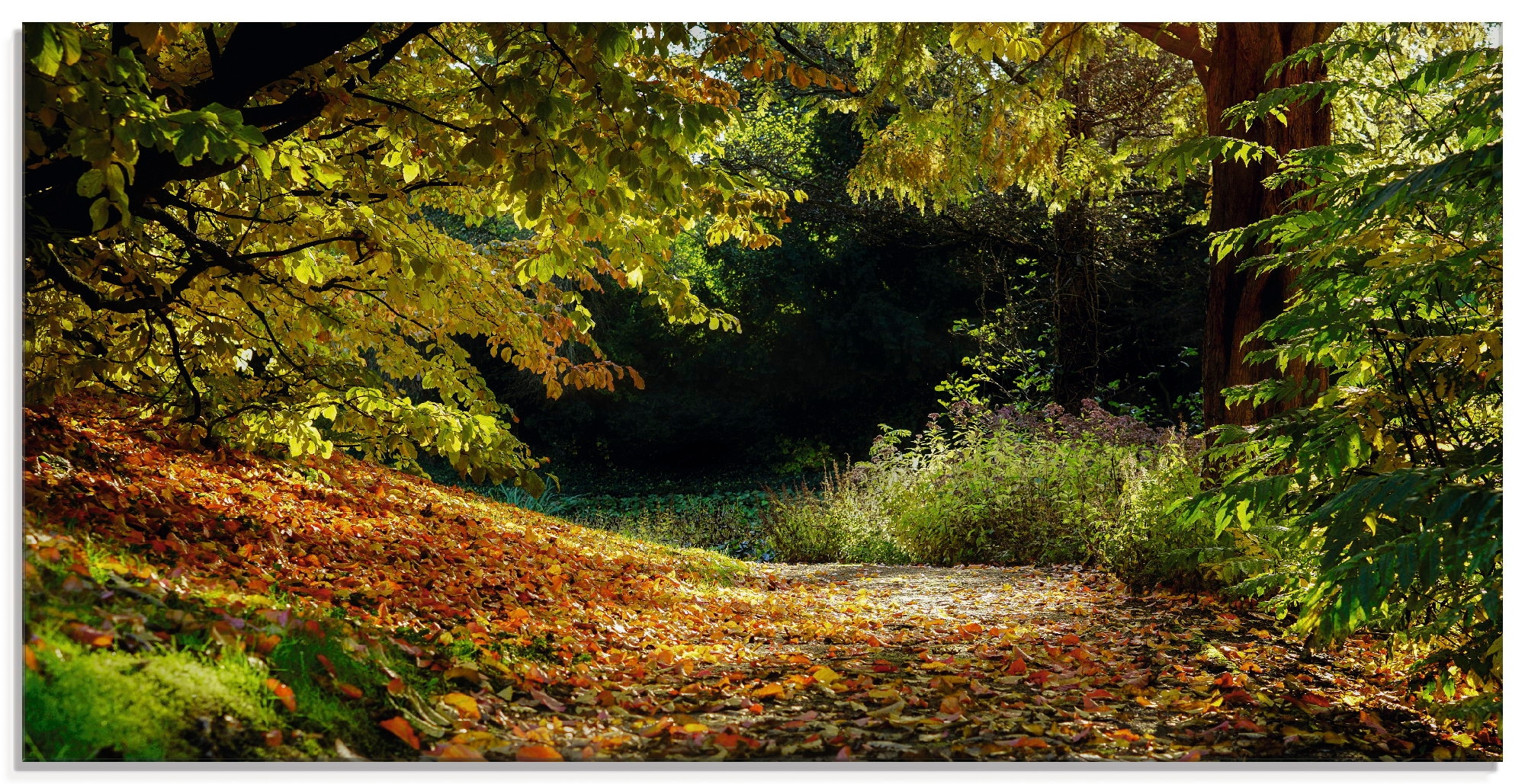 Artland Glasbild »Herbstteppich«, Wald, (1 St.), in verschiedenen Größen günstig online kaufen