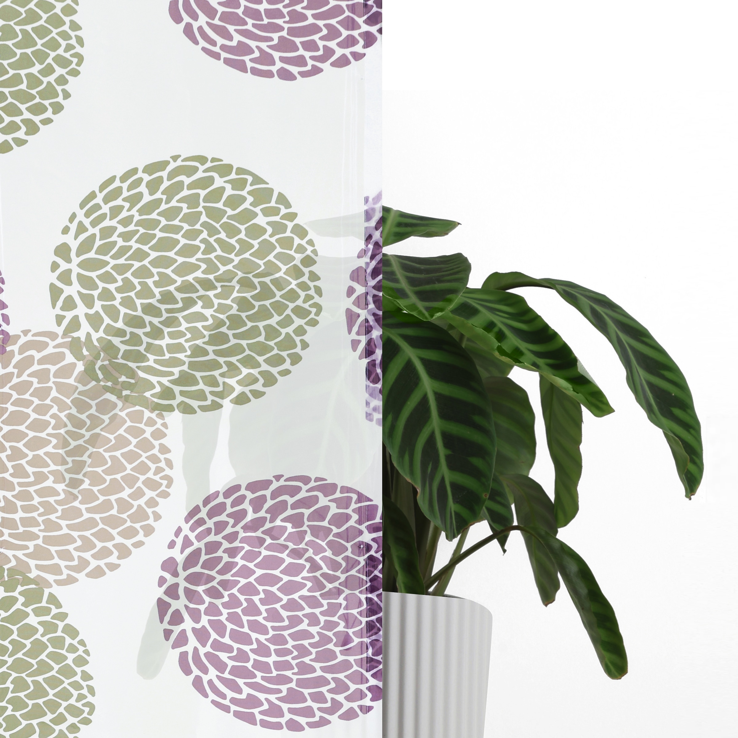 my home Raffrollo »Belem«, mit Schlaufen, Transparent, Voile, Polyester