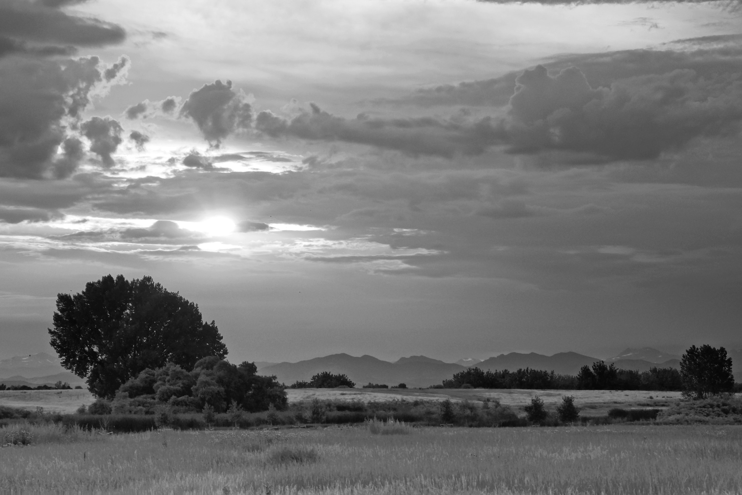 Papermoon Fototapete »Landschaft Schwarz & Weiß« günstig online kaufen