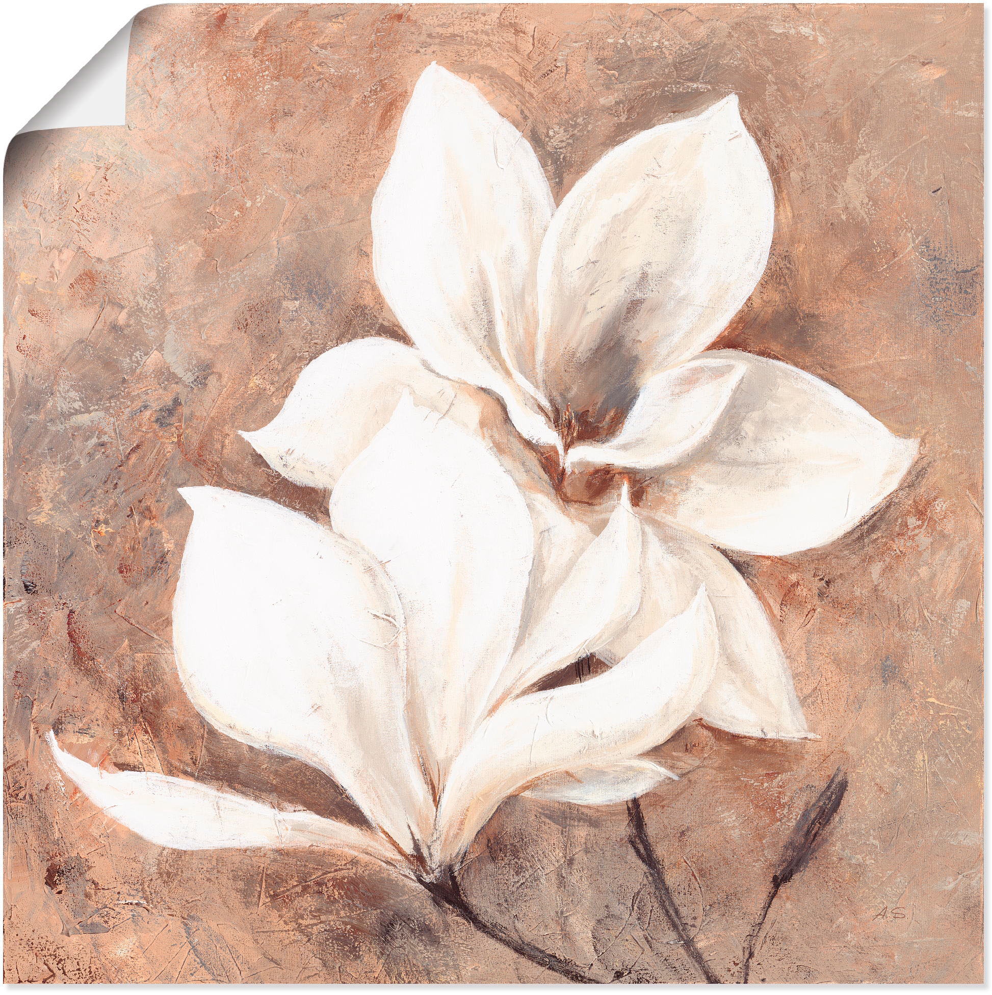 Artland Wandbild »Klassische Magnolien«, Blumen, (1 St.), als Alubild, Outd günstig online kaufen