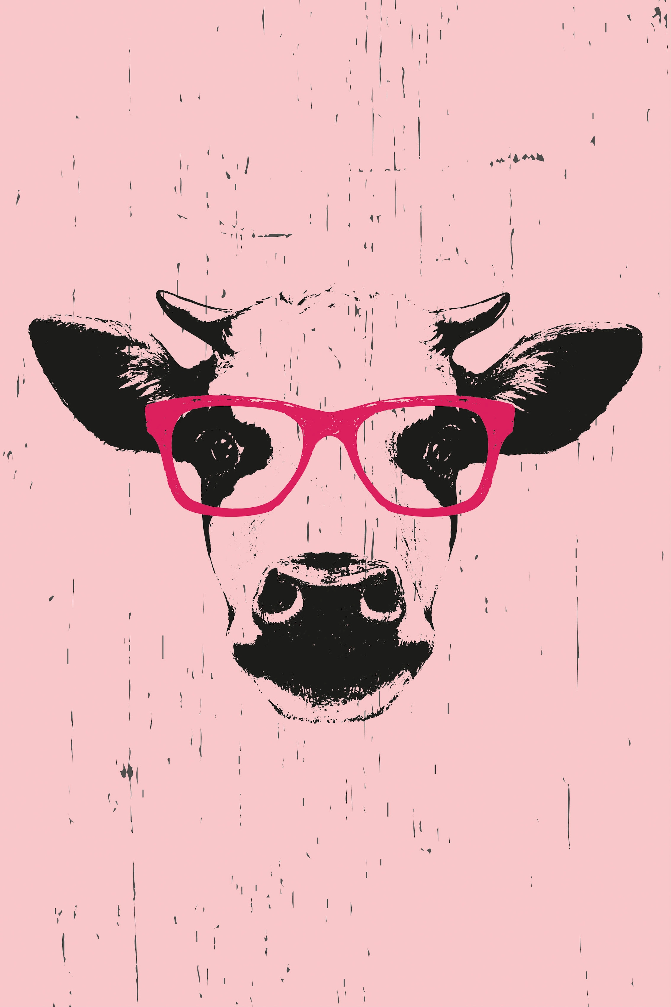 queence Leinwandbild »Kuh mit Brille«, Kuh-Kuhbilder-Comic, Premium-Leinwandstoff, Handarbeit aus Deutschland