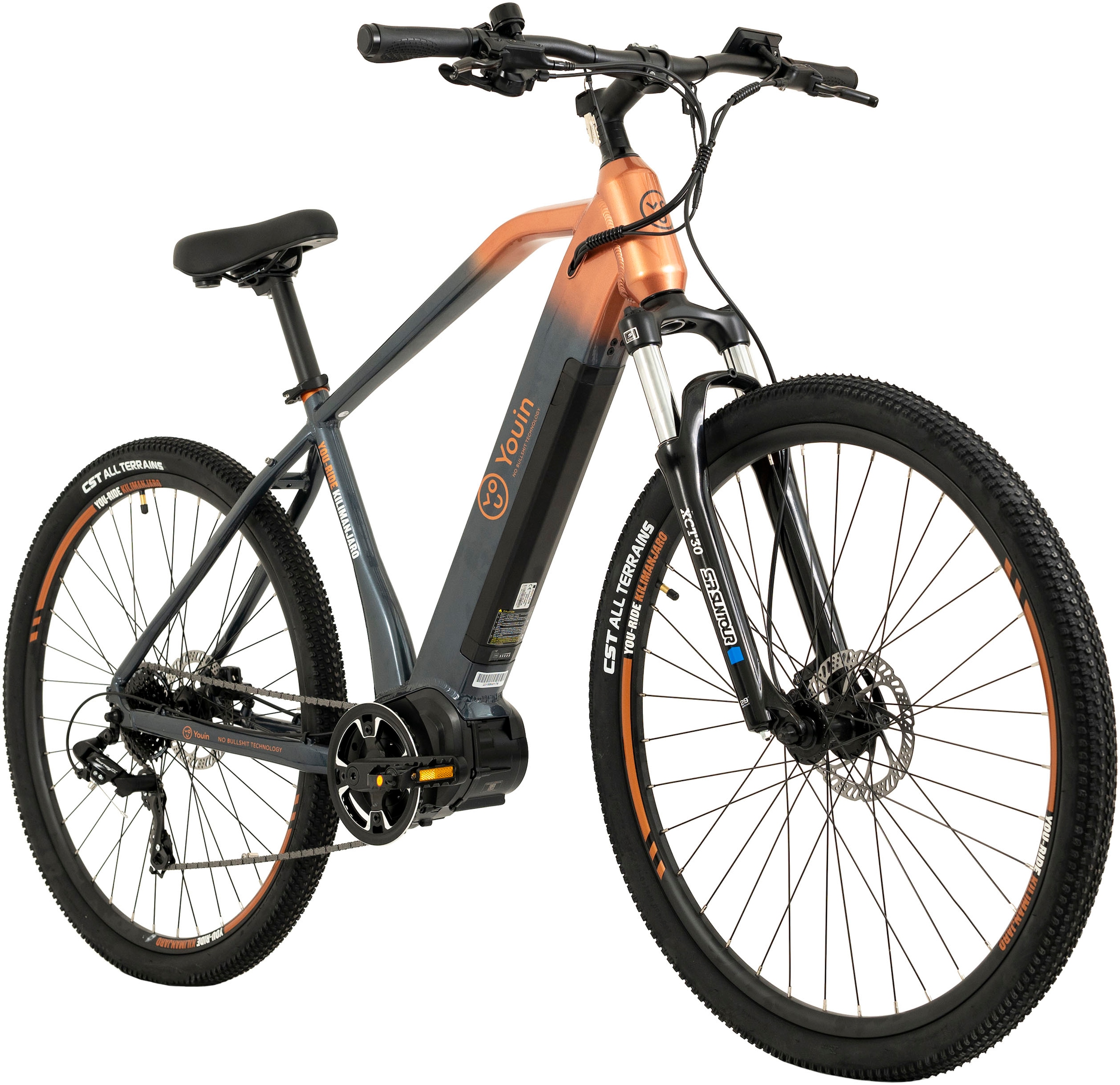 TOTEM E-Bike »FJ-M«, 8 Gang, Shimano, Tourney, Mittelmotor 250 W, Pedelec, Elektrofahrrad für Damen u. Herren, MTB