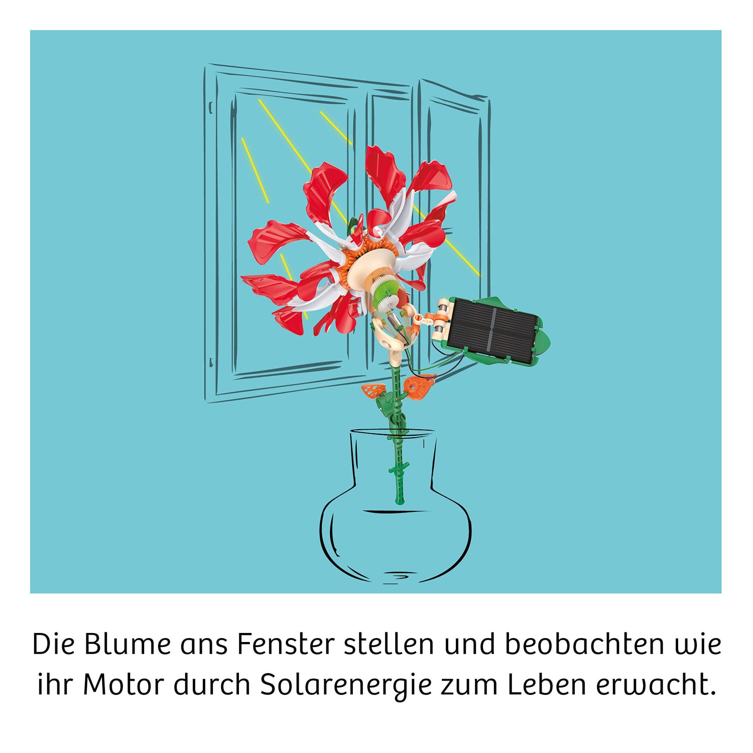 Kosmos Experimentierkasten »Solar-Flower«