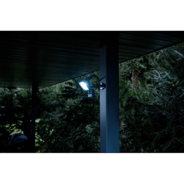 Brennenstuhl LED Wandstrahler »JARO 1060 P«, für außen, mit Bewegungsmelder  online kaufen