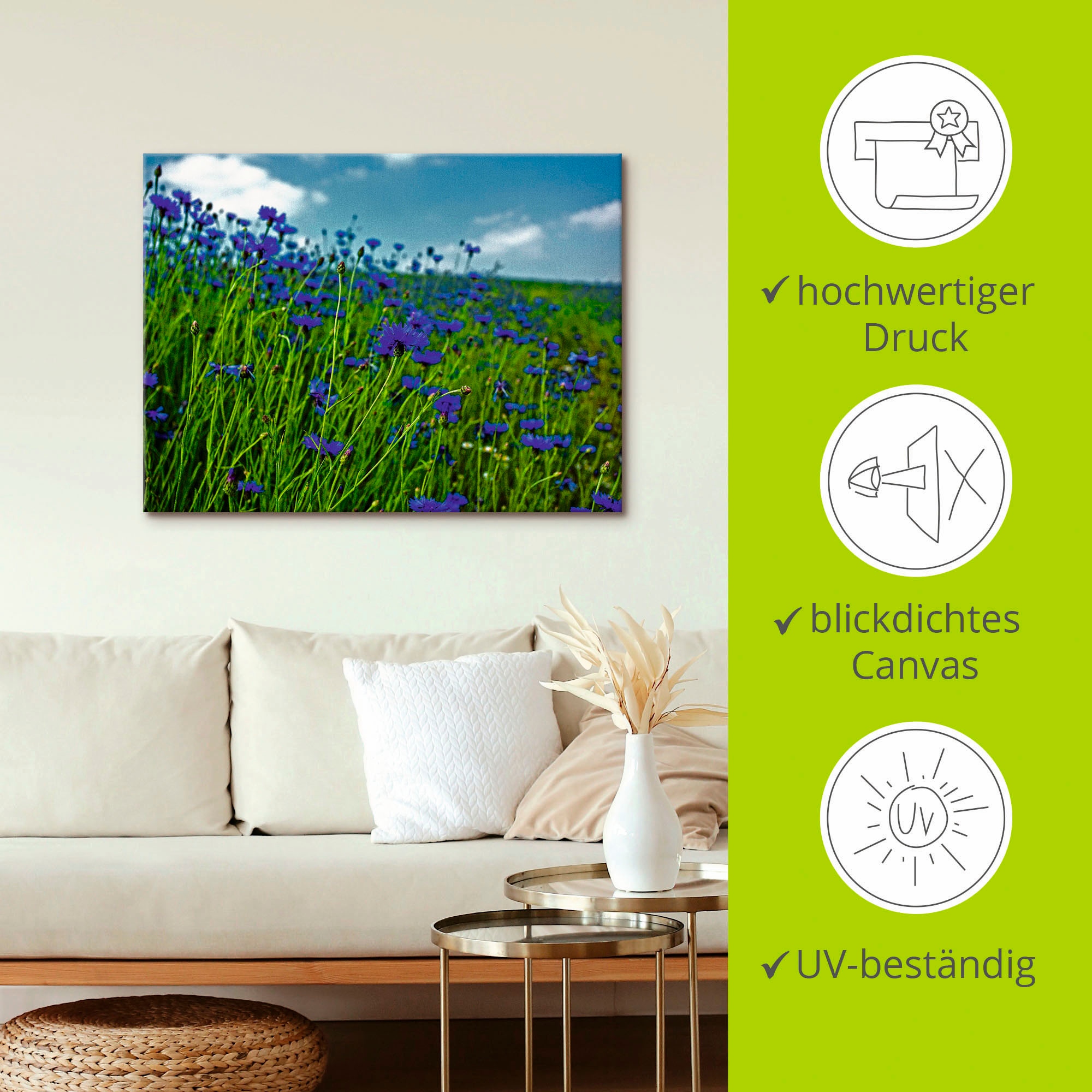 Artland Wandbild »Kornblumenwiese«, Blumenwiese, (1 St.), als Leinwandbild, Poster in verschied. Größen