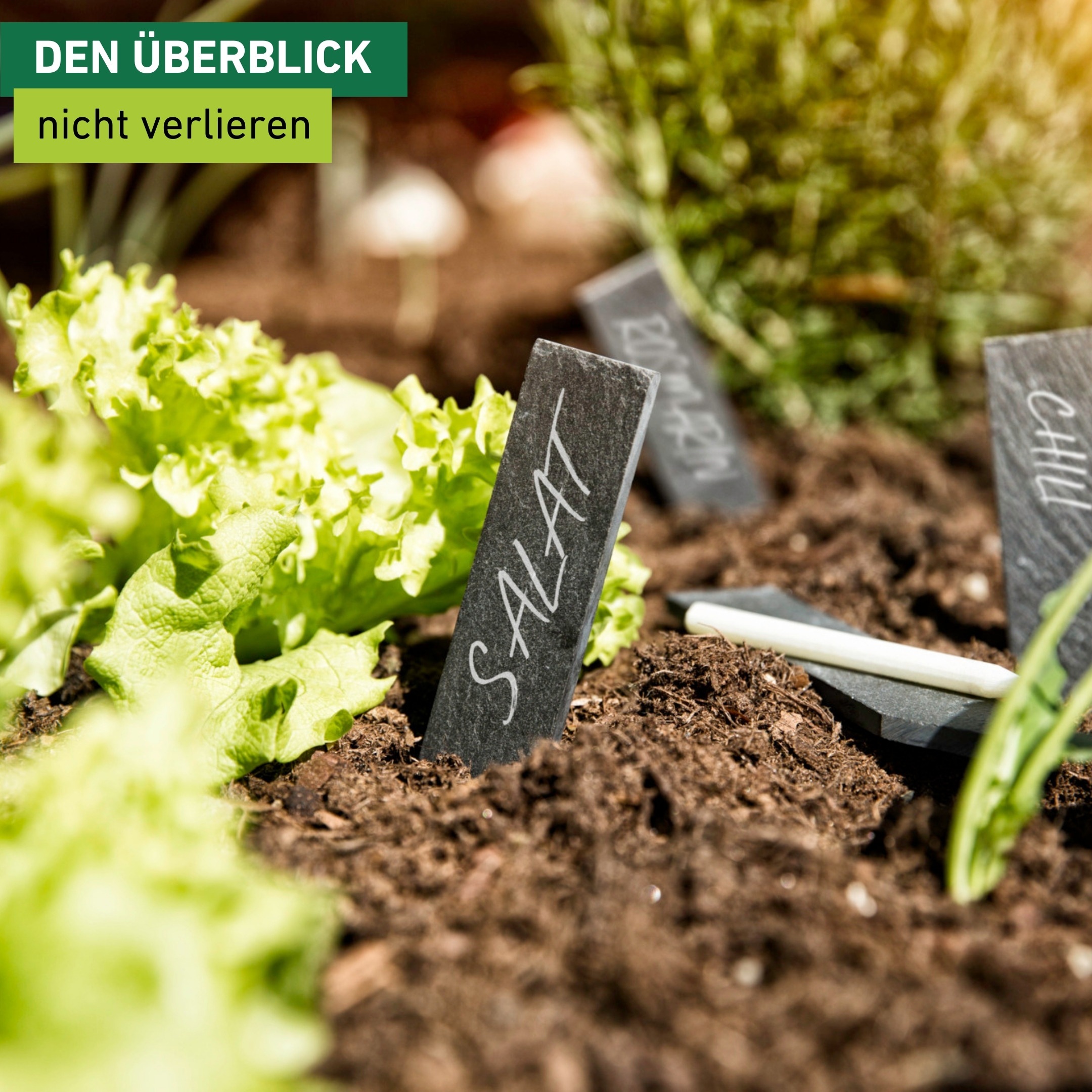 Windhager Gartenstecker »Pflanzenstecker aus Schieferschilder, Stecketiketten und Gartendeko« ideal für Beschriftung im Gemüse und Kräuterbeet, 8 Stück + 1 Kreide