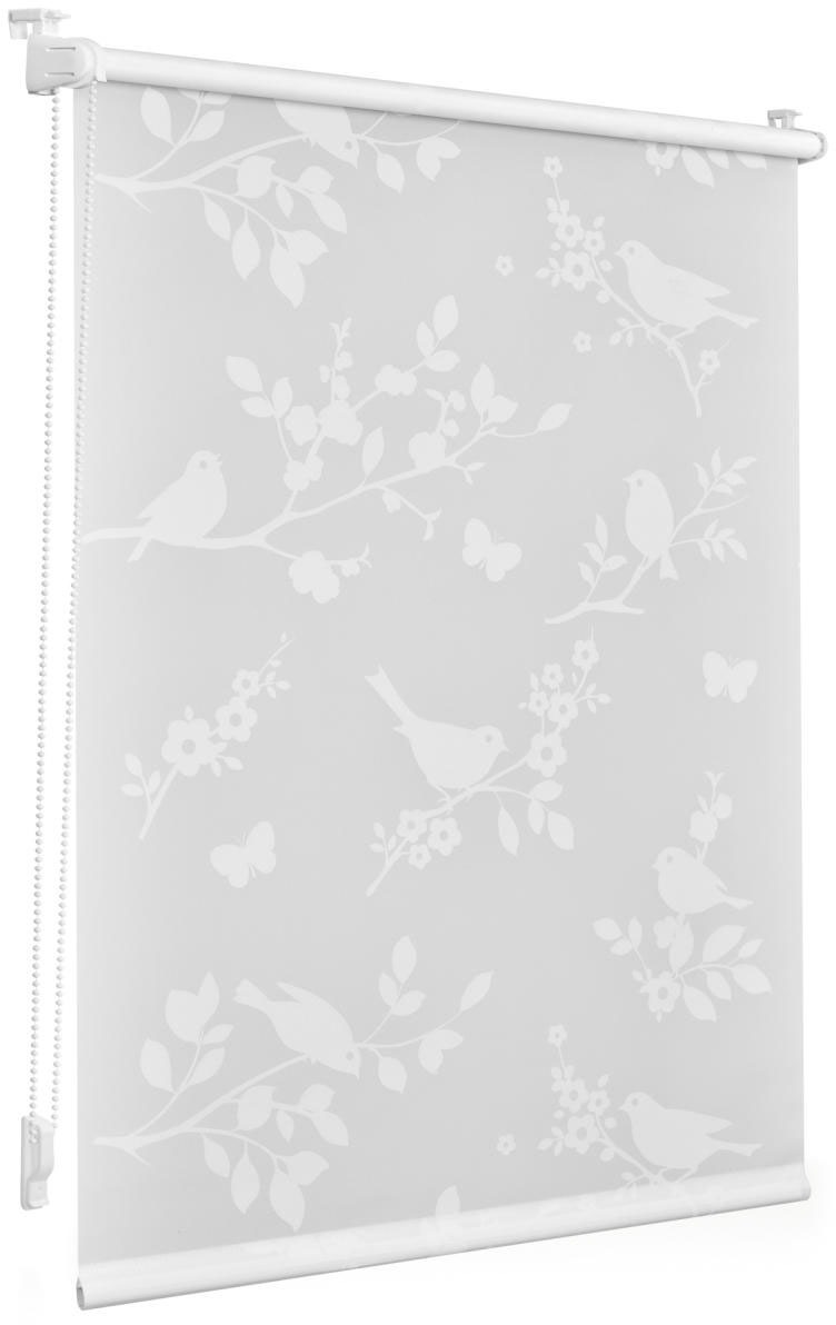 LICHTBLICK ORIGINAL Seitenzugrollo »Rollo Klemmfix, ohne Bohren, blickdicht günstig online kaufen