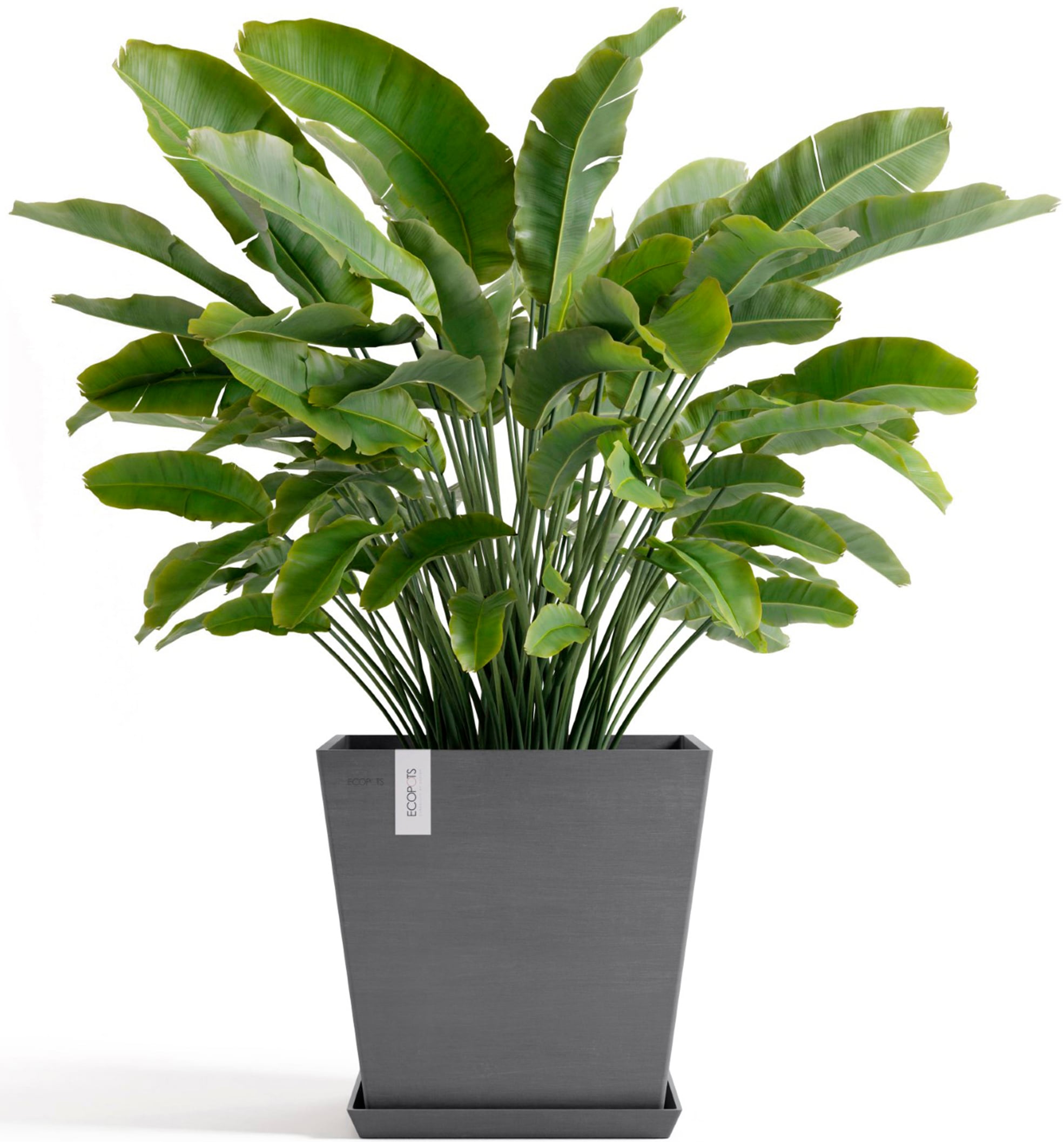 ECOPOTS Blumentopf »Rotterdam 45 + Wassersystem Grau« für innen und außen: frostsicher, bruchsicher und lichtbeständig