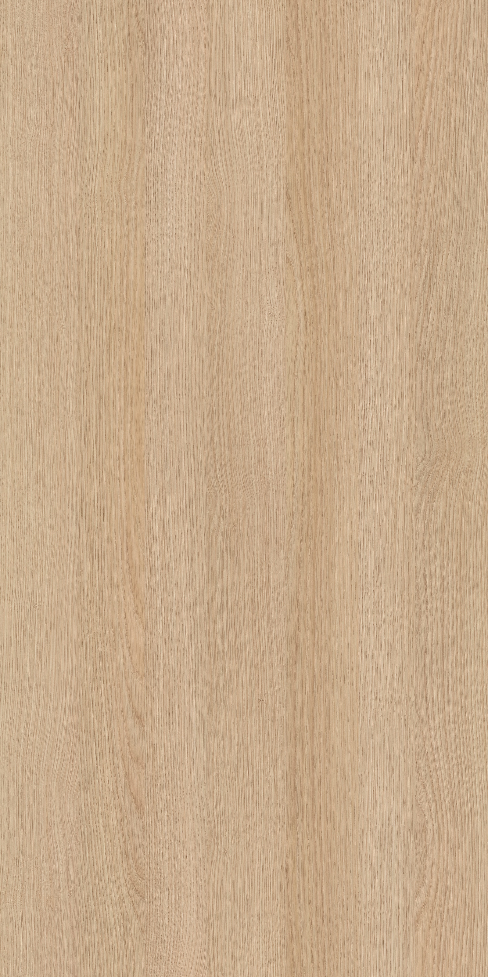 byLIVING Highboard »Bastian« 1 Stk. tlg. mit massiven Holzfüßen und Griffen, natürlicher Eichenlook, 120cm