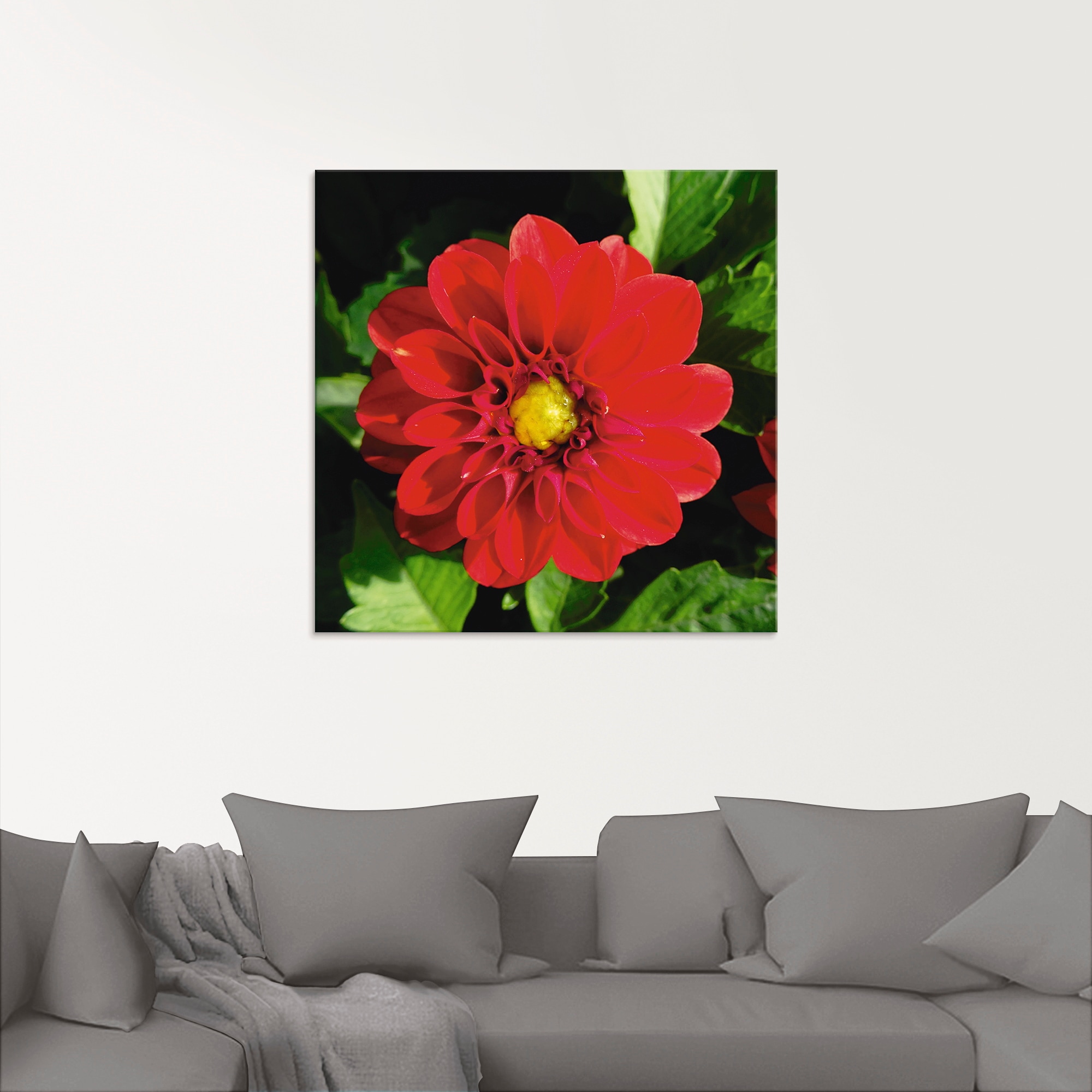 Artland Glasbild "Rote Dahlienblüte", Blumen, (1 St.), in verschiedenen Grö günstig online kaufen