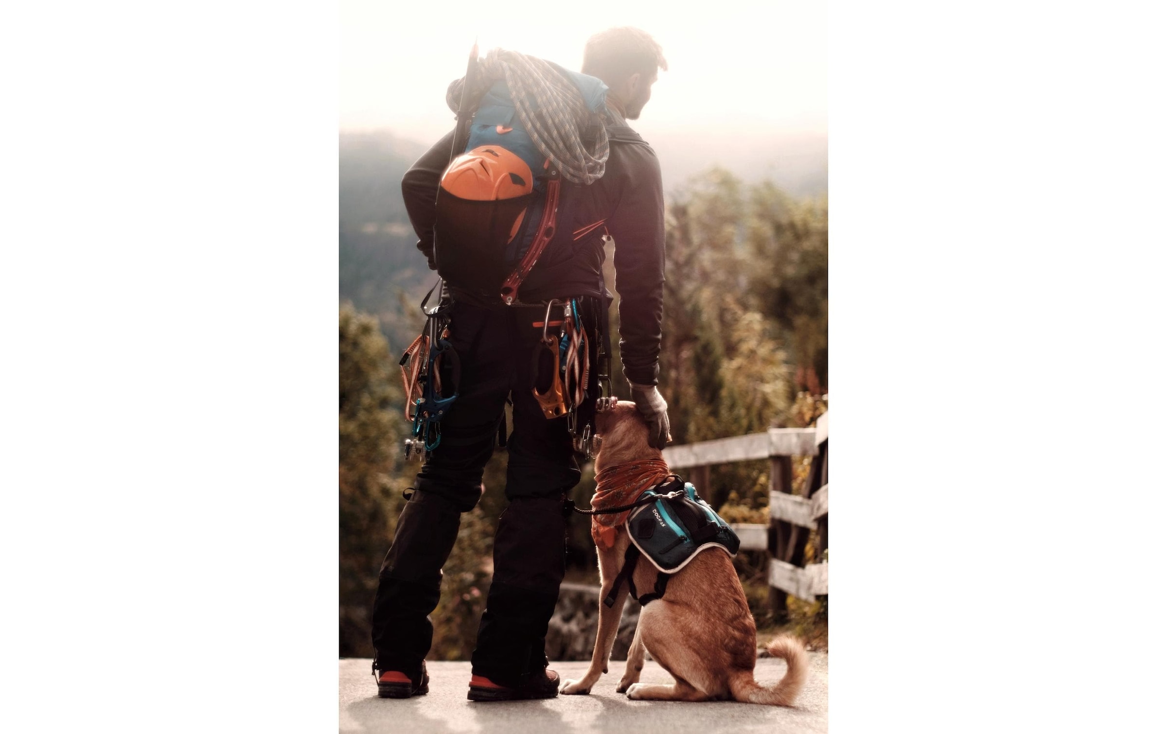   Hunde-Geschirr »DOGPAK Moab Lite Hunderucksack S« Rucksack und Wandergeschirr für Hunde aus «Die Höhle der Löwen»