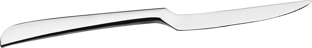 PINTINOX Steakmesser »Esclusivi«, (Set, 6 tlg.), Edelstahl, spülmaschinengeeignet