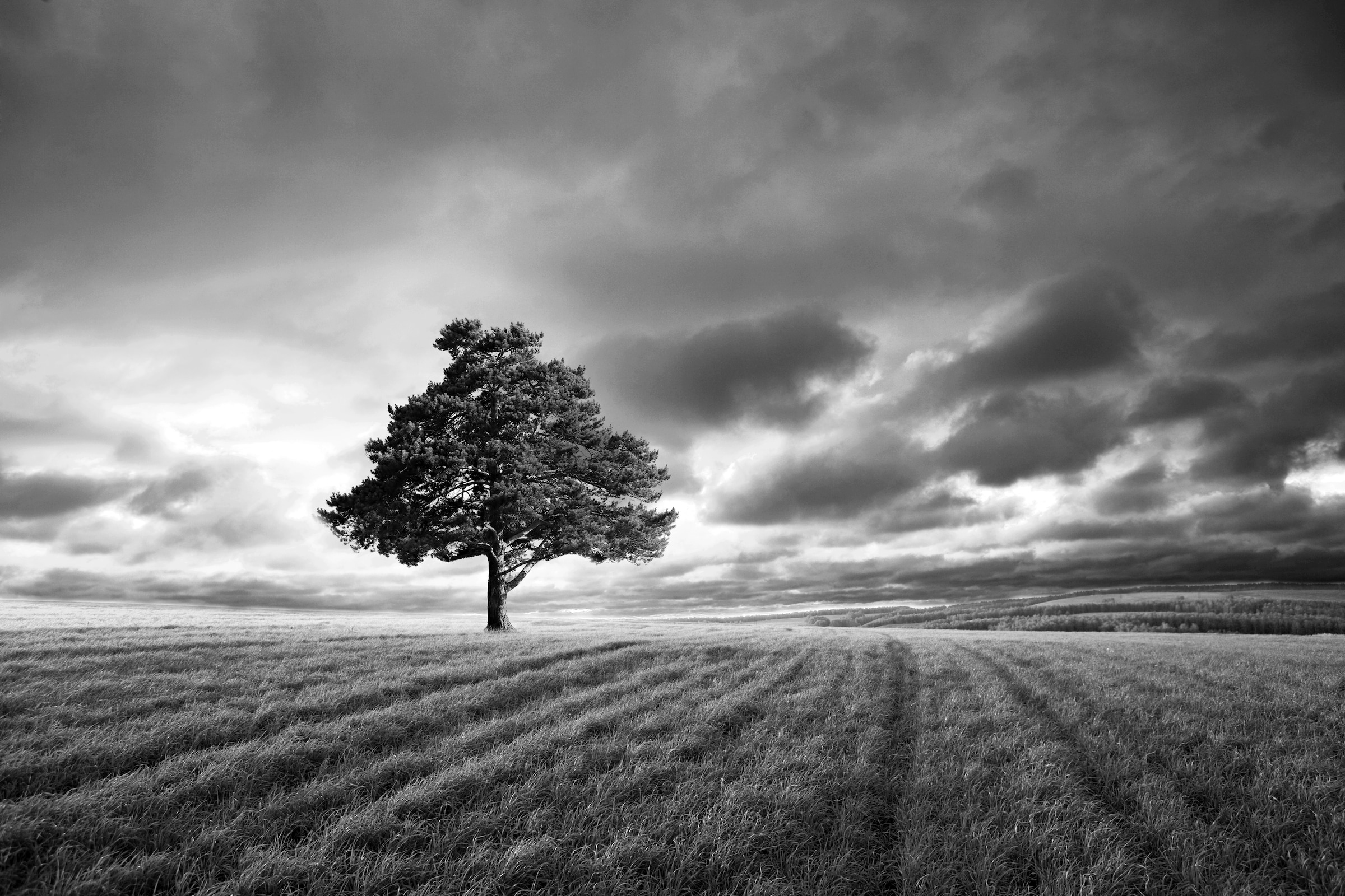 Papermoon Fototapete »Landschaft schwarz & weiß« günstig online kaufen