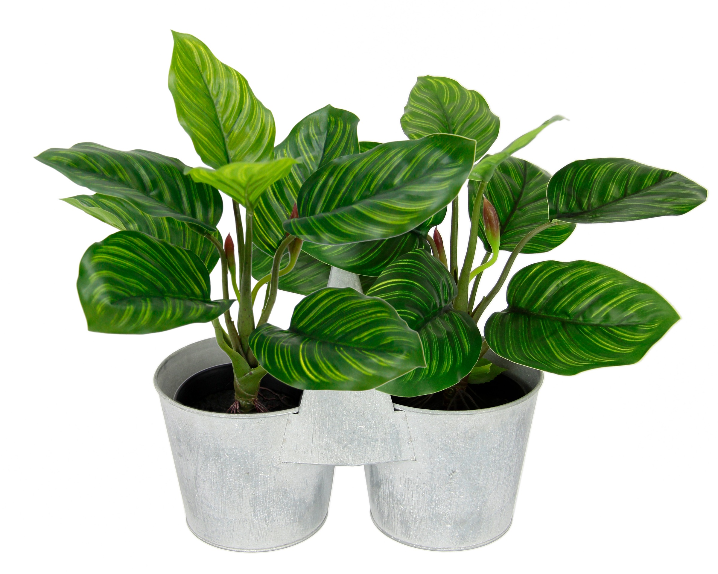 I.GE.A. Kunstblume »Künstliche Maranthus-Pflanze im Metallkorb 30cm Pothos Pflanze« Efeutute Zimmerpflanze Deko Seidenblume Kunstpflanze Blattpflanze