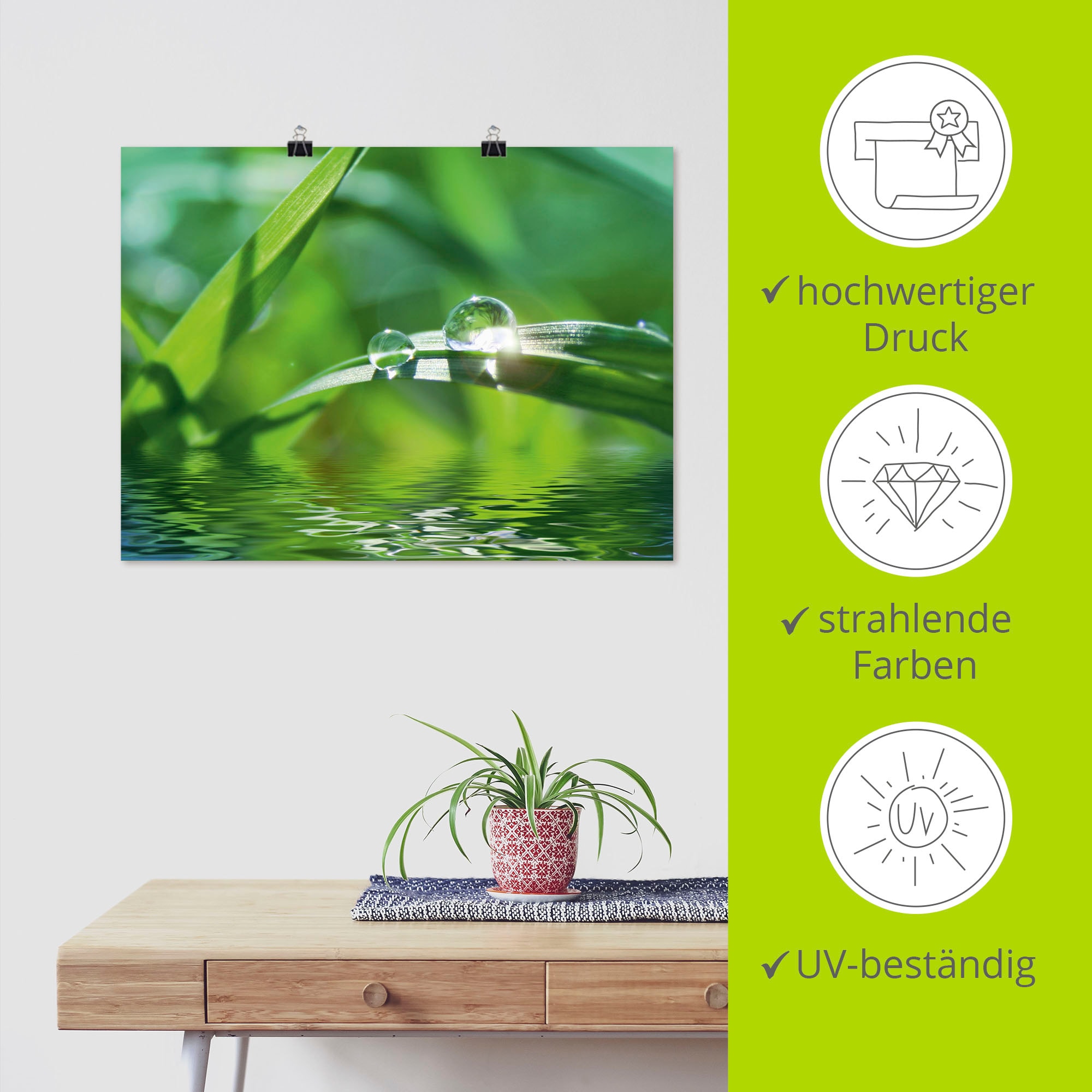 Artland Wandbild »Grüner Hintergrund mit Gras«, Gräser, (1 St.), als Leinwandbild, Poster, Wandaufkleber in verschied. Größen