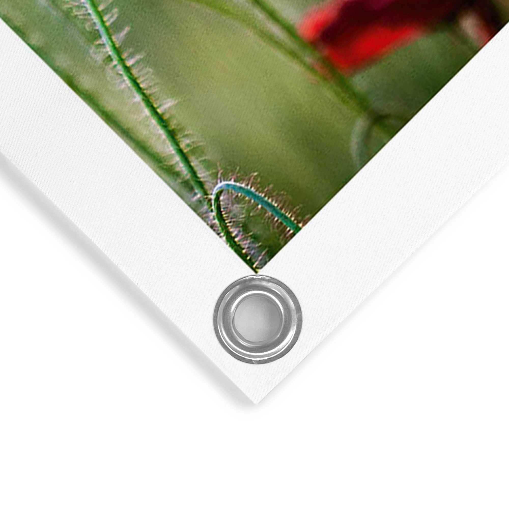 Reinders! Poster »Mohnblüten«, Outdoor für Garten oder Balkon