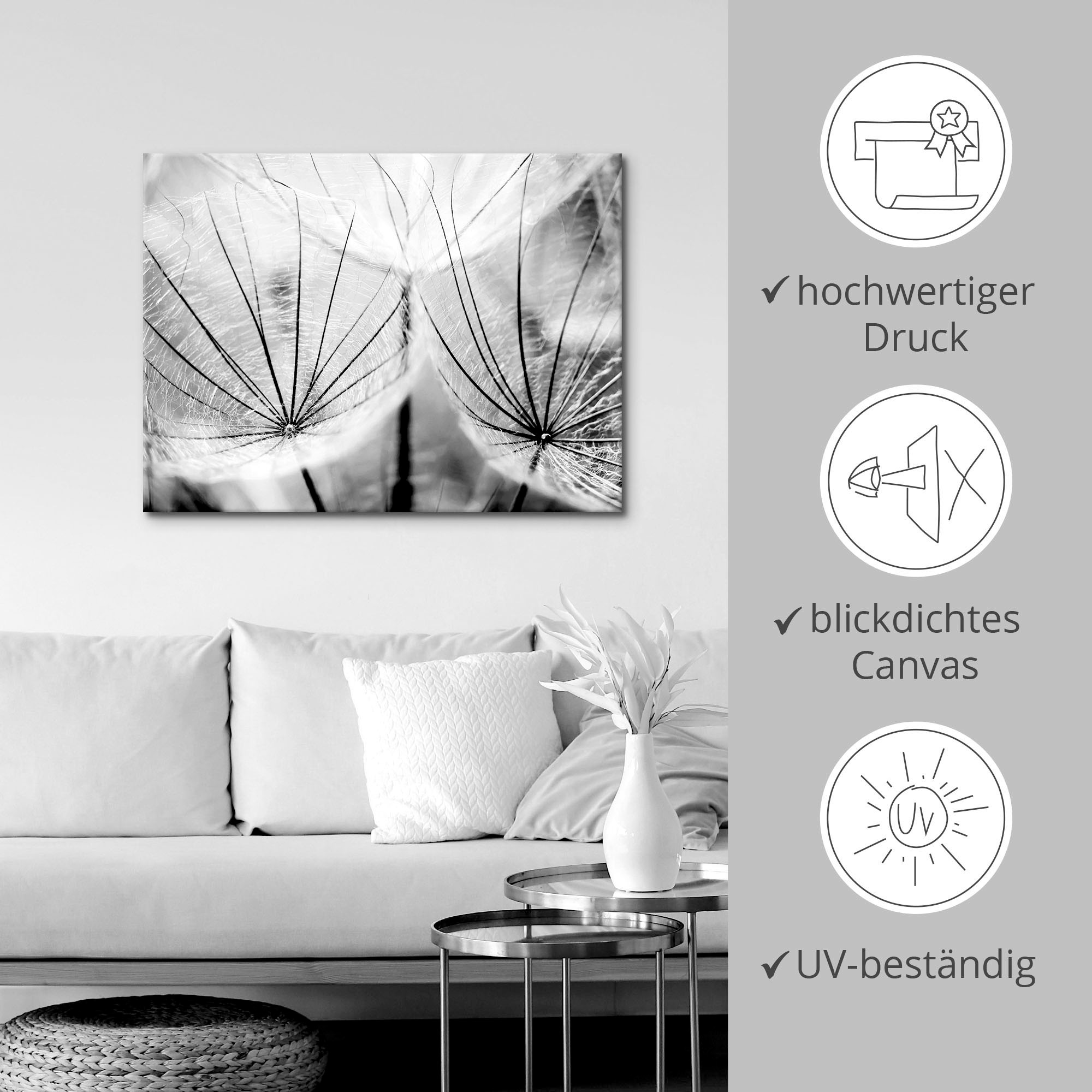 Artland Wandbild »Pusteblume in schwarzweiß«, Blumen, (1 St.), als Alubild, Outdoorbild, Leinwandbild, Poster, Wandaufkleber