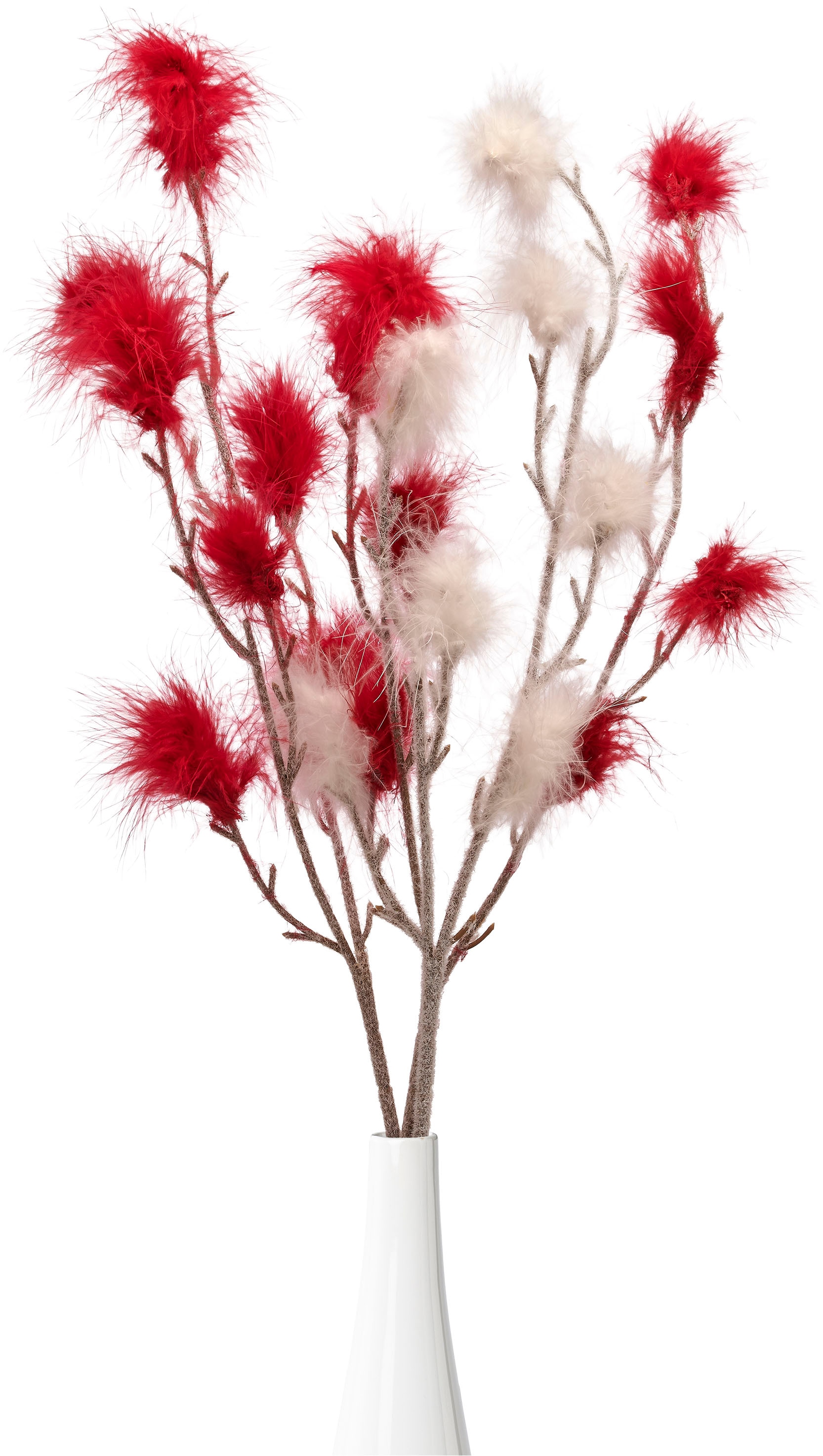 Creativ home Tischvase »Vase mit Federzweigen« für die moderne Einrichtung