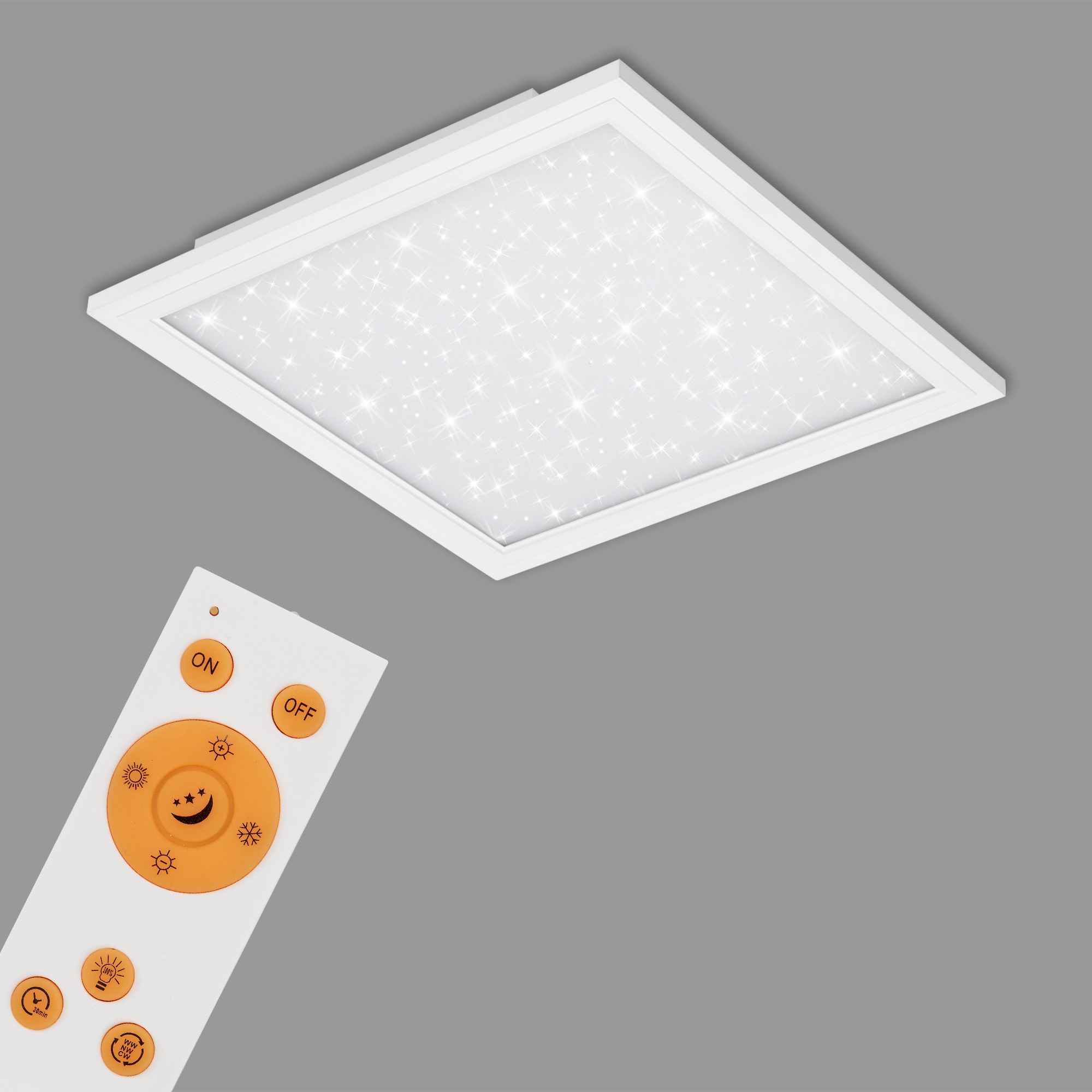 Briloner Leuchten LED Panel »PALLAS« mit Fernbedienung