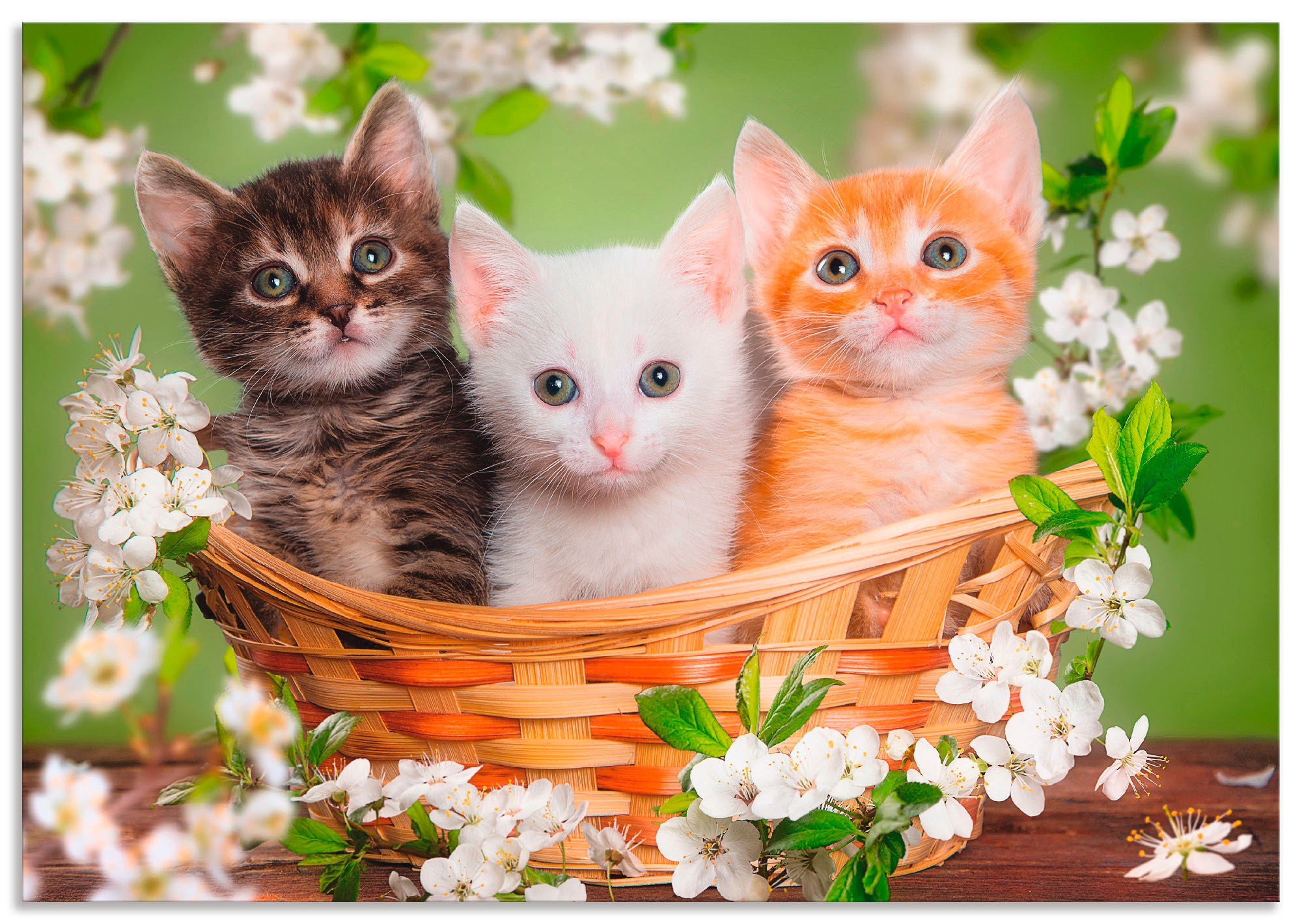 Artland Wandbild »Katzen sitzen in einem Korb« Haustiere 1 Stk. tlg. als Le günstig online kaufen
