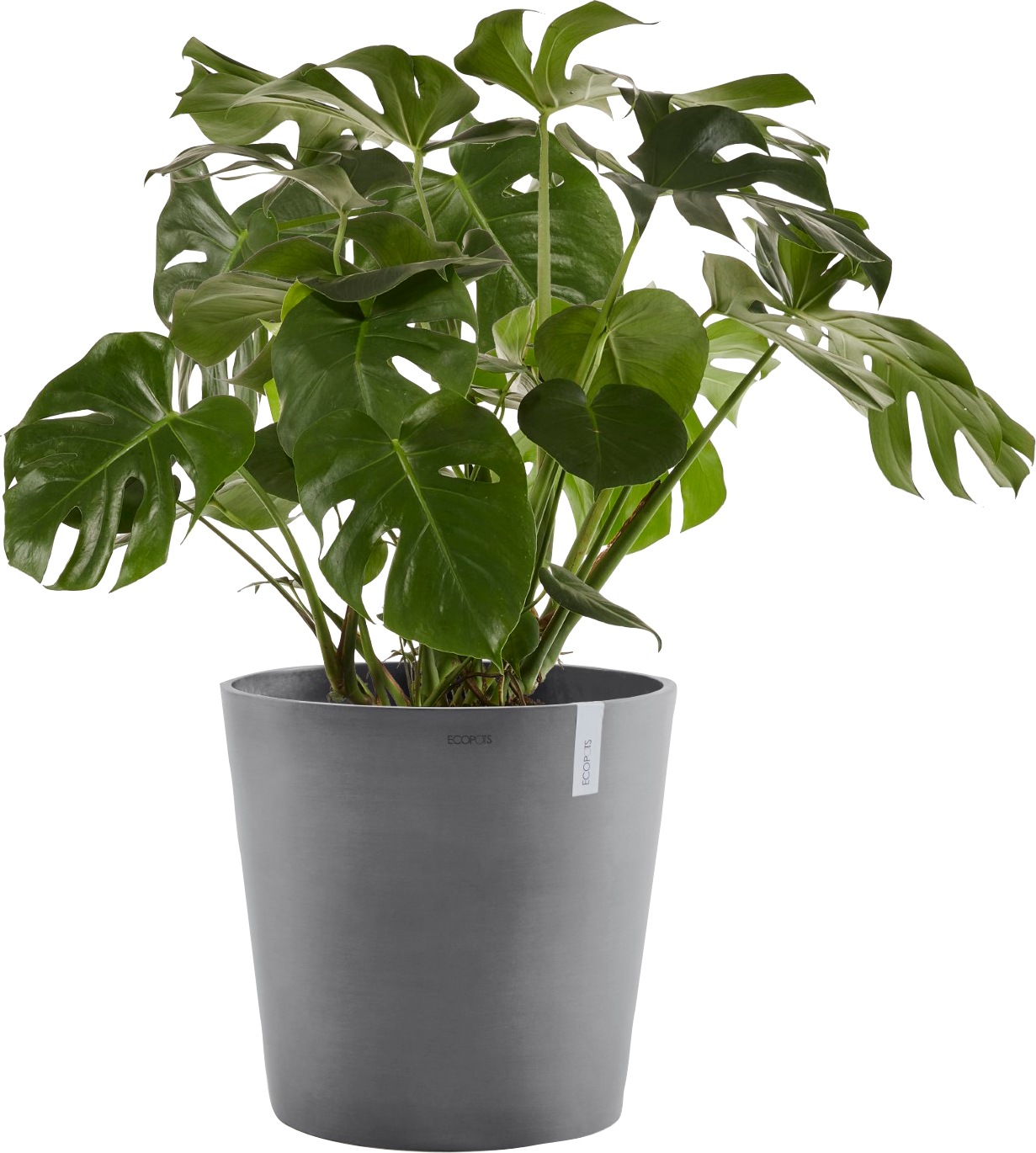 ECOPOTS Blumentopf »AMSTERDAM Grey«, BxTxH: 50x50x43,8 cm, mit Wasserreservoir