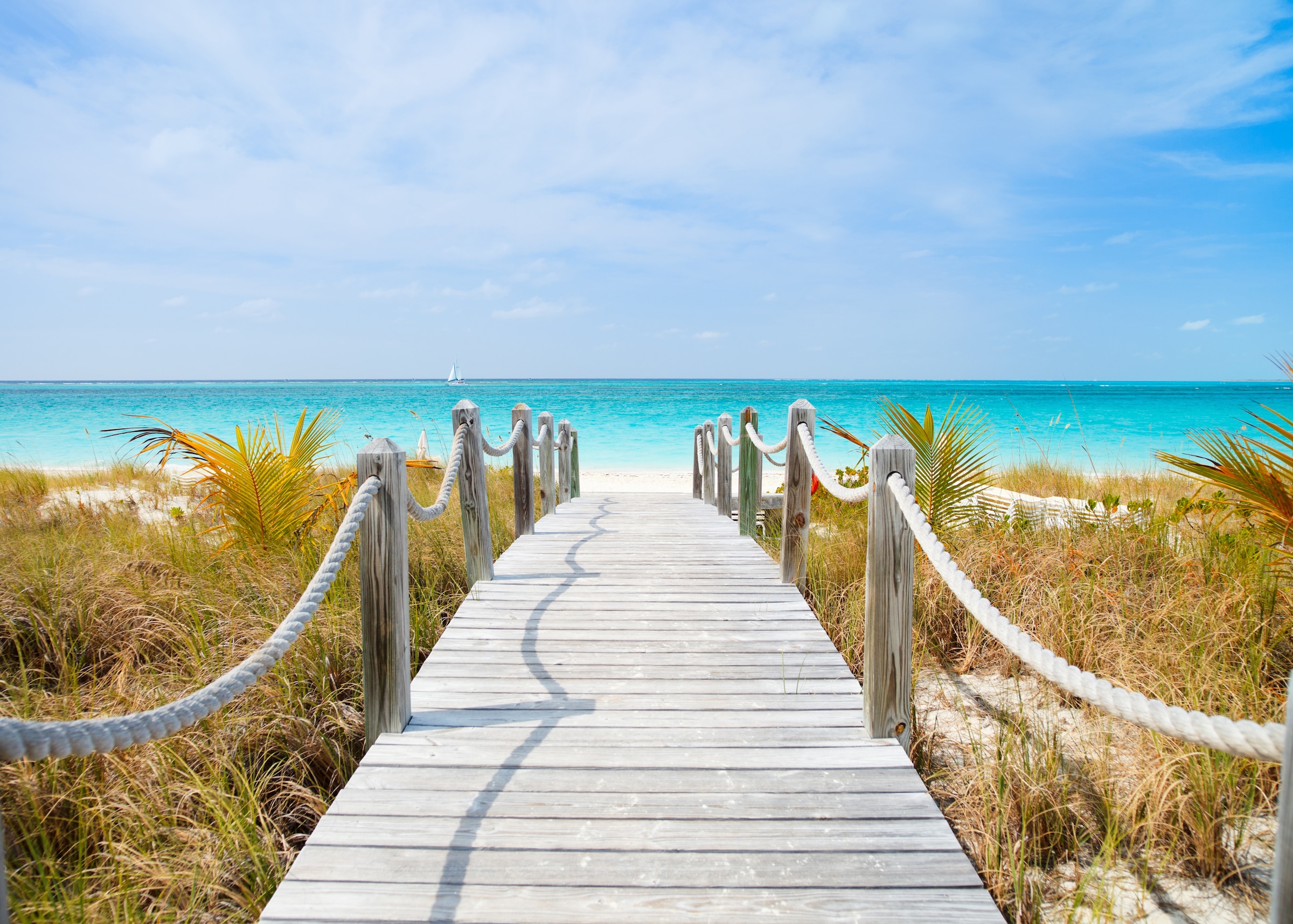 Papermoon Fototapete »Dunes Carribean Beach« glatt günstig online kaufen